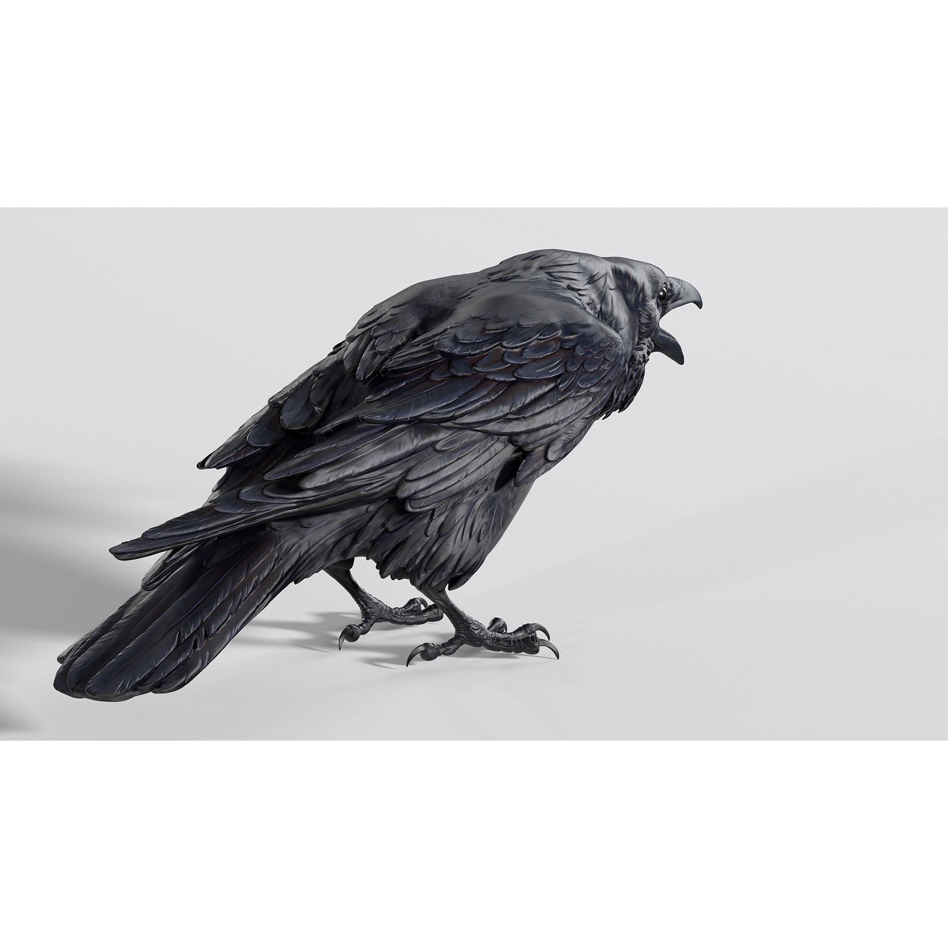 Crow open beak- 3D Sculpting - High Poly 3D print model 4