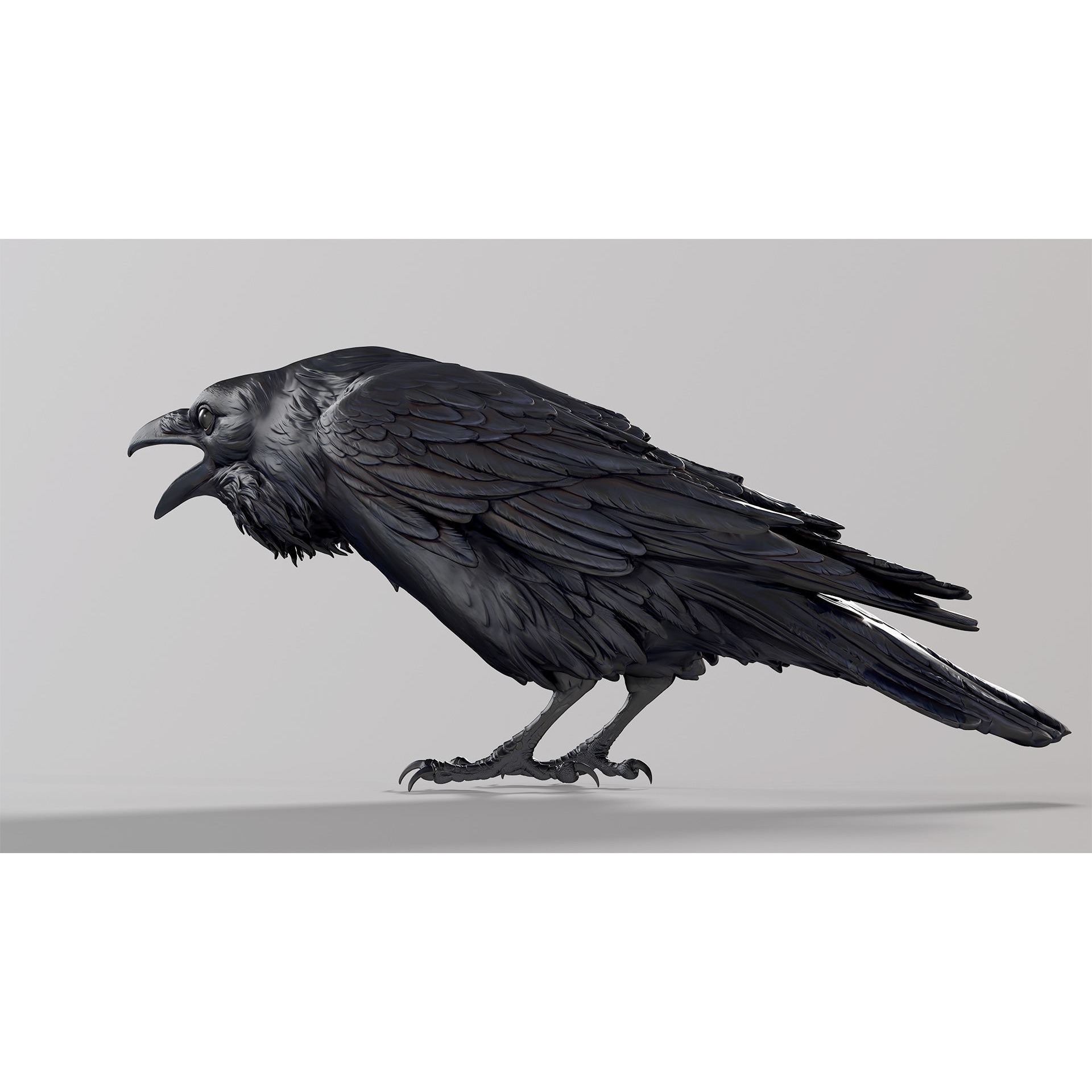 Crow open beak- 3D Sculpting - High Poly 3D print model 5
