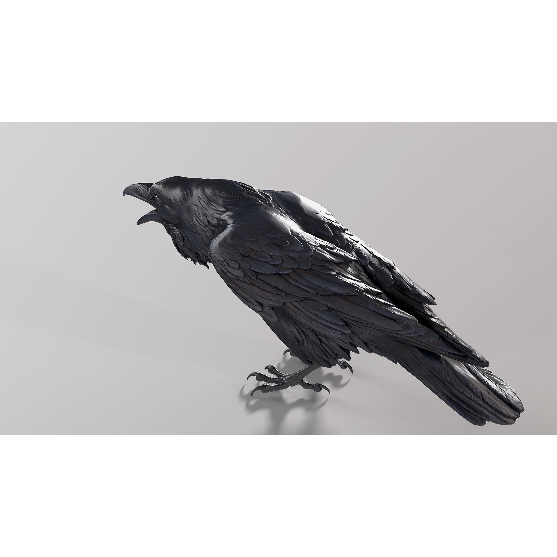 Crow open beak- 3D Sculpting - High Poly 3D print model 7