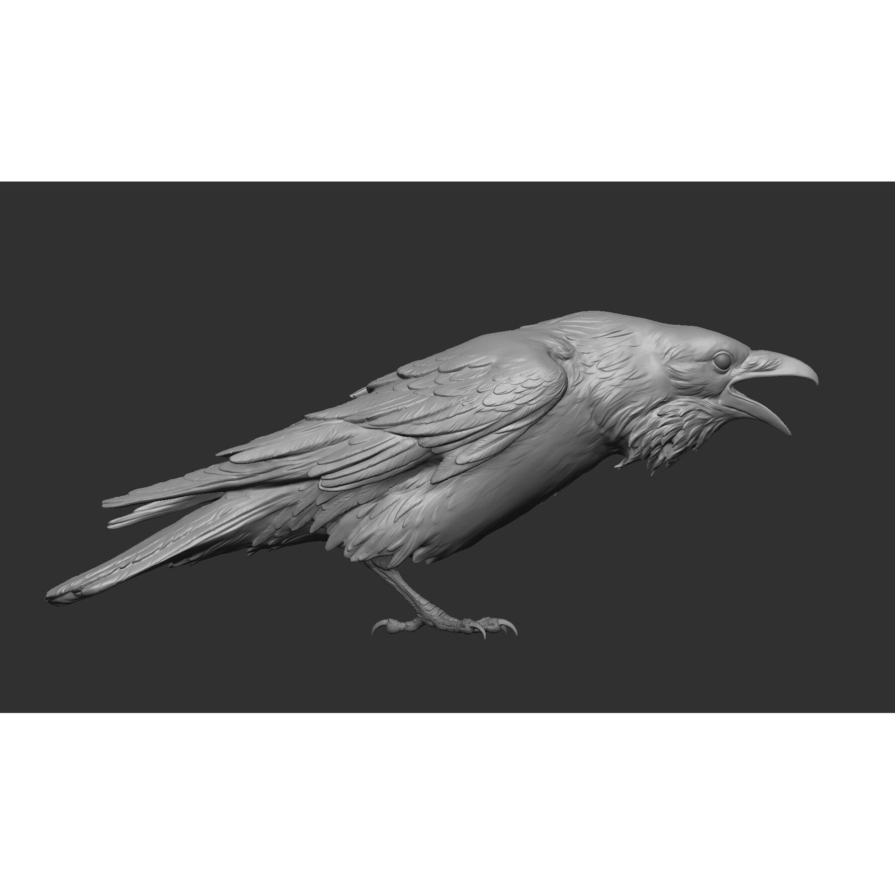 Crow open beak- 3D Sculpting - High Poly 3D print model 8