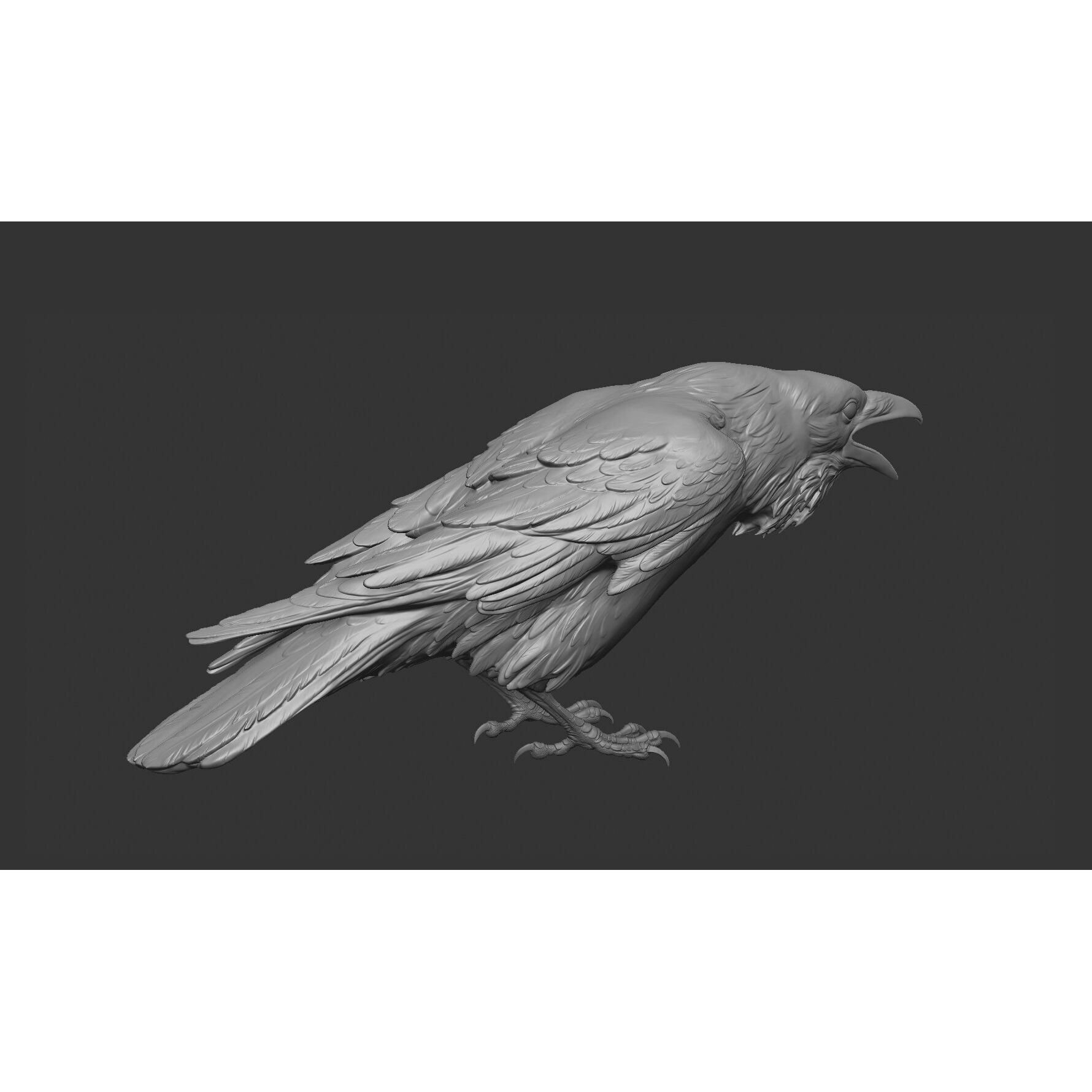 Crow open beak- 3D Sculpting - High Poly 3D print model 9