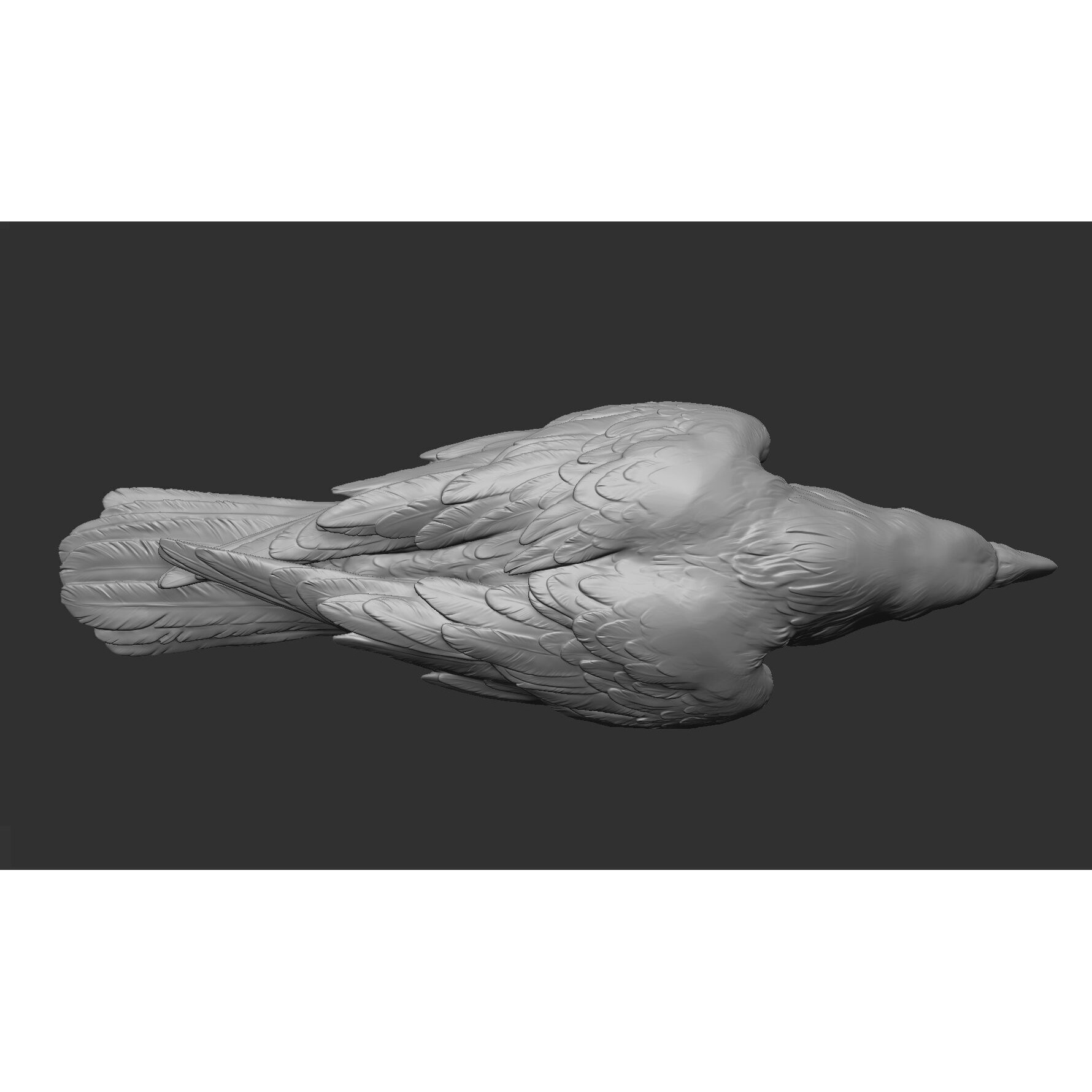 Crow open beak- 3D Sculpting - High Poly 3D print model 10