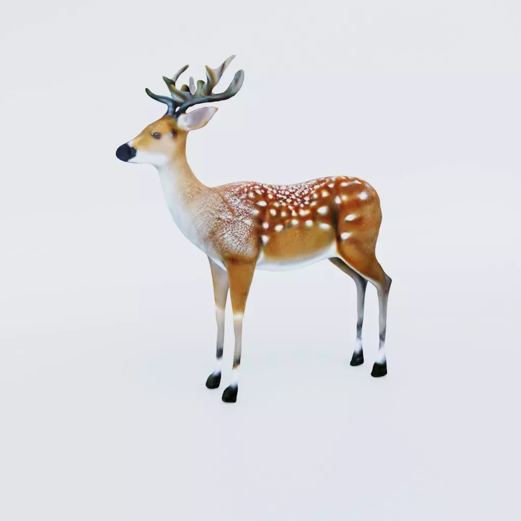 Deer Animal Free 3D model