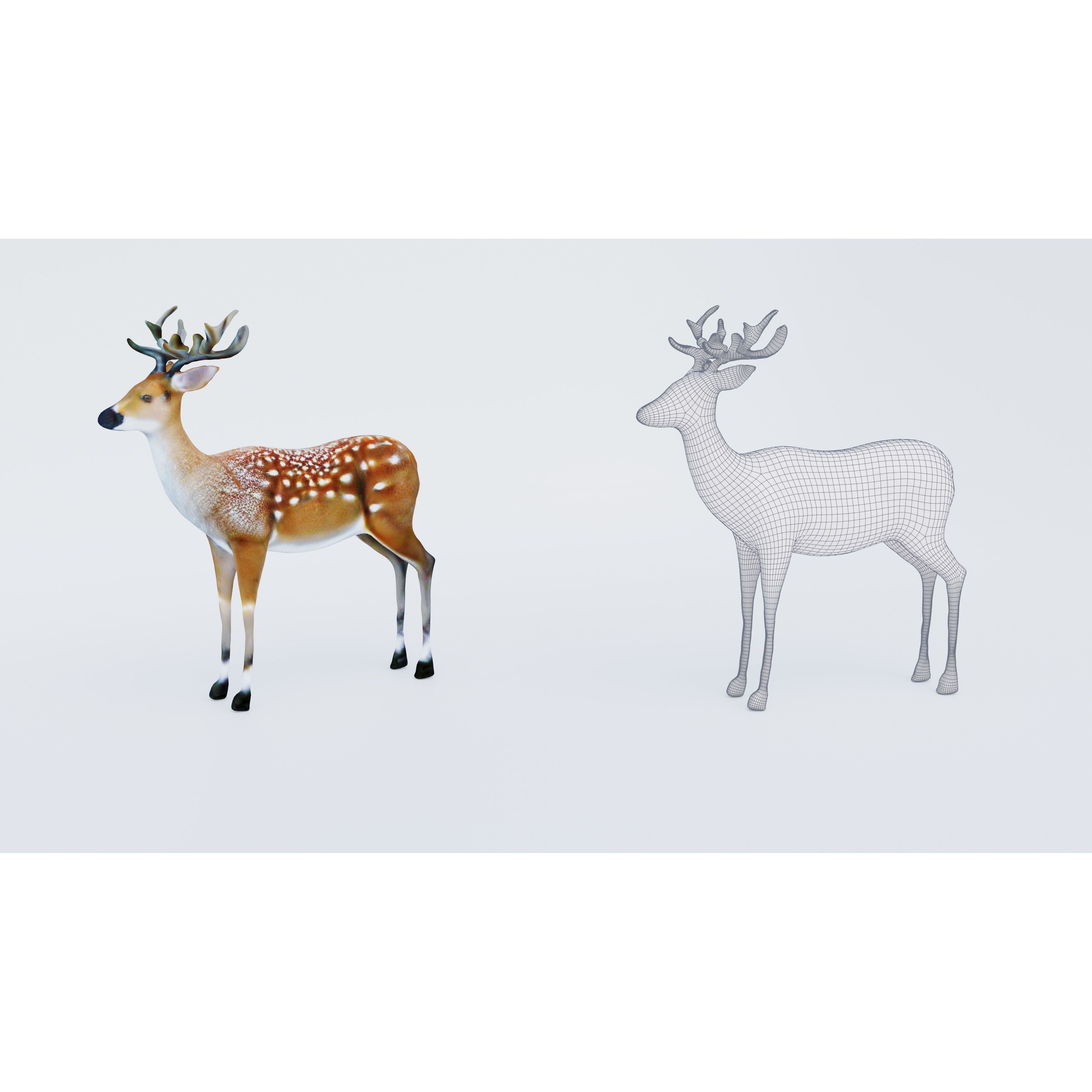 Deer Animal Free 3D model 6
