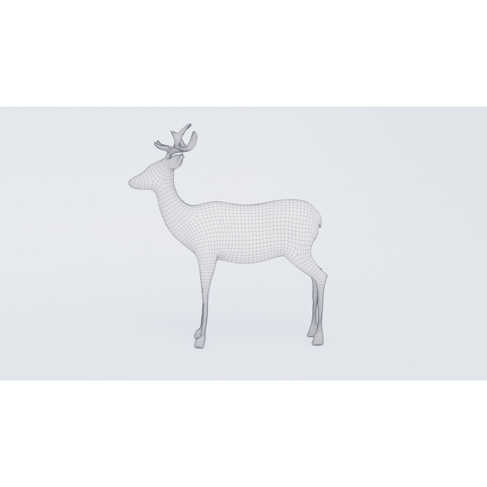 Deer Animal Free 3D model 7