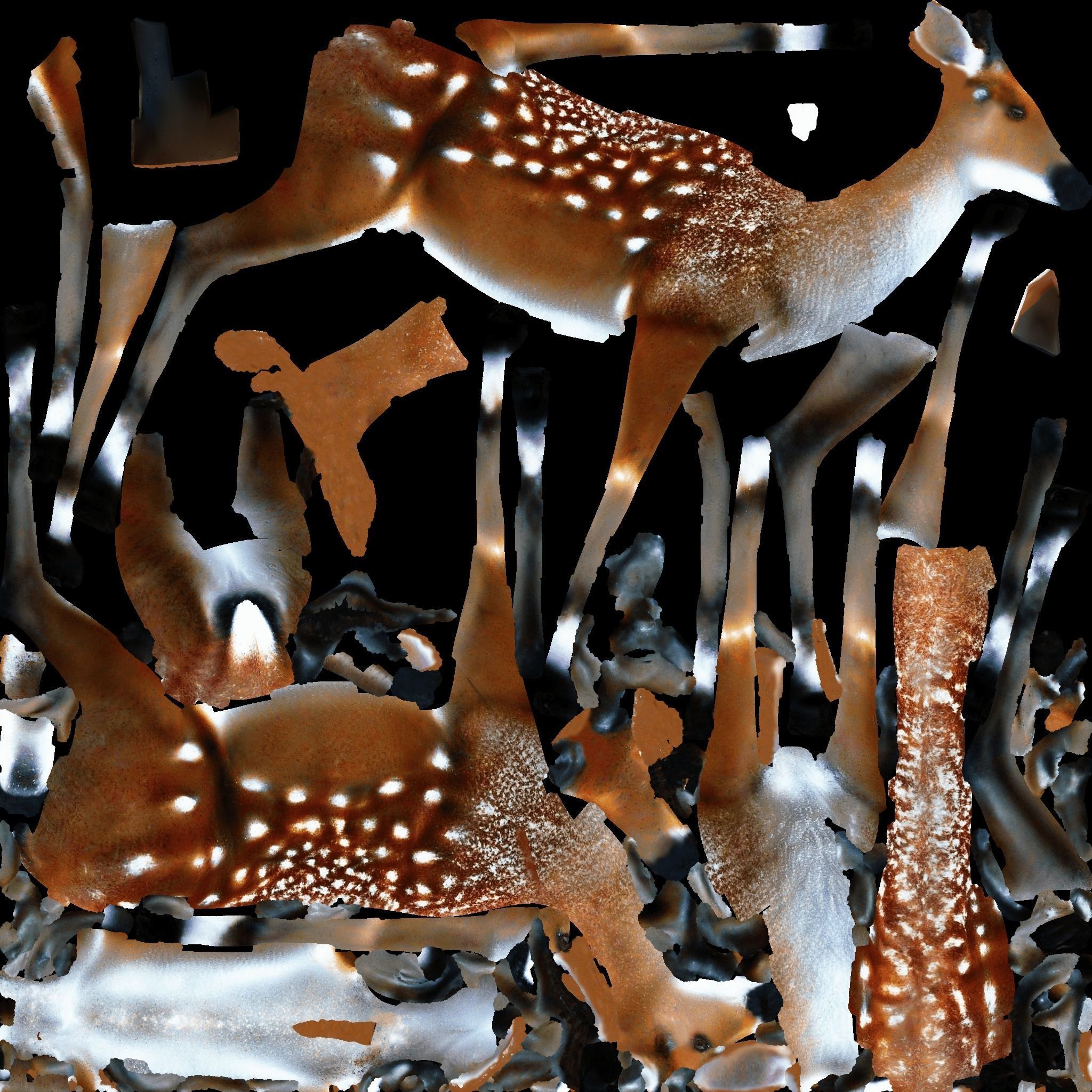 Deer Animal Free 3D model 8