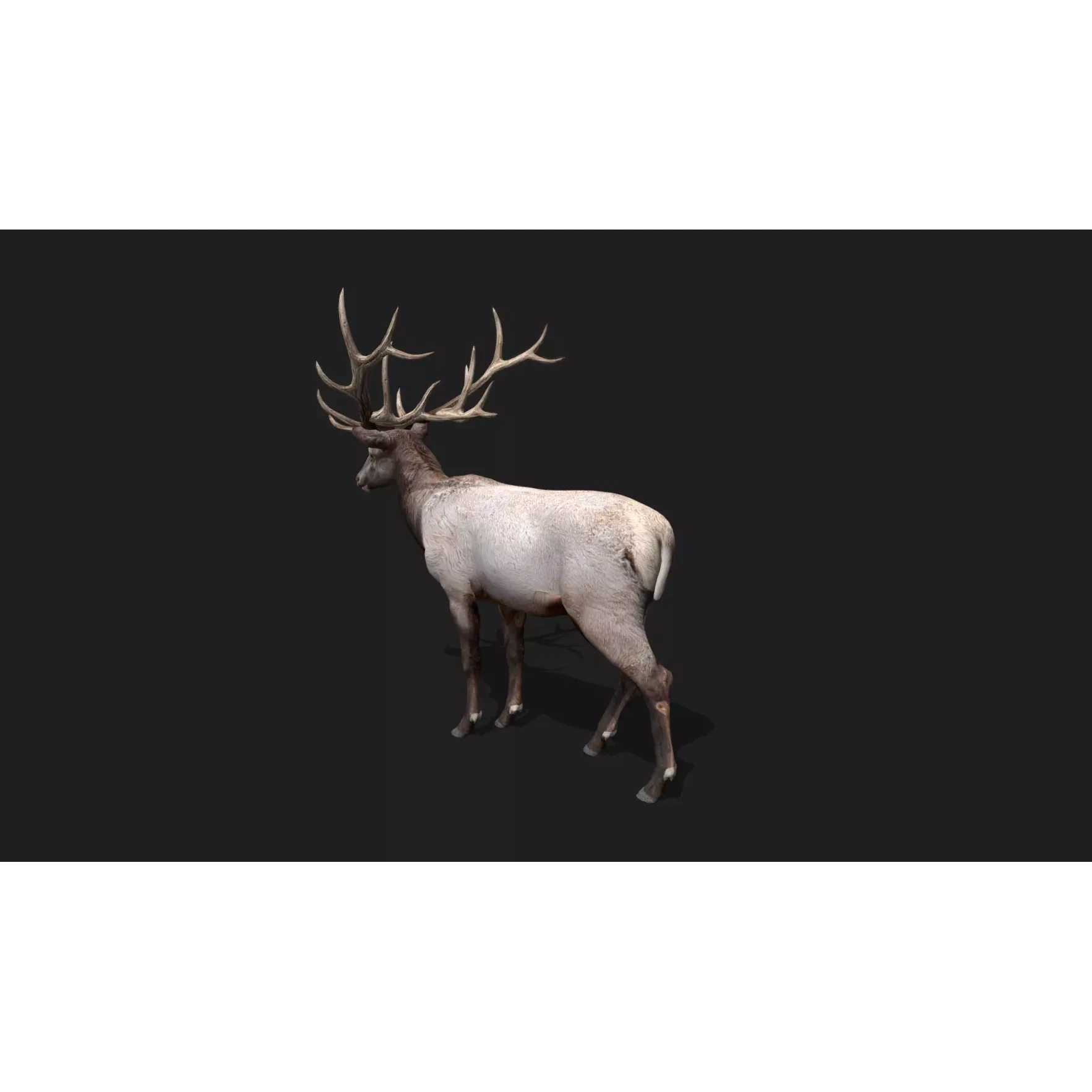 deer Animation Free low-poly 3D model 2