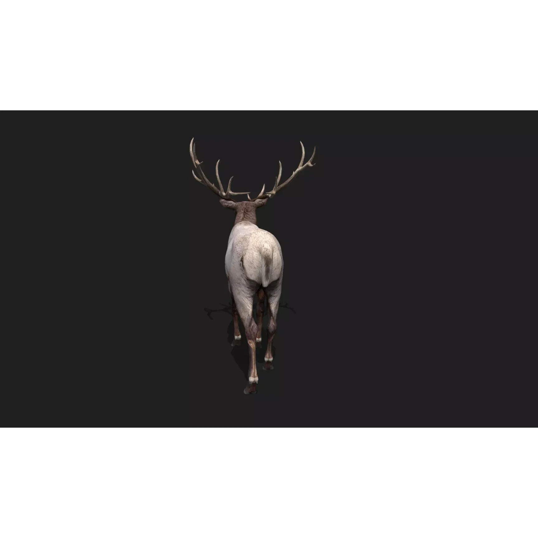 deer Animation Free low-poly 3D model 3