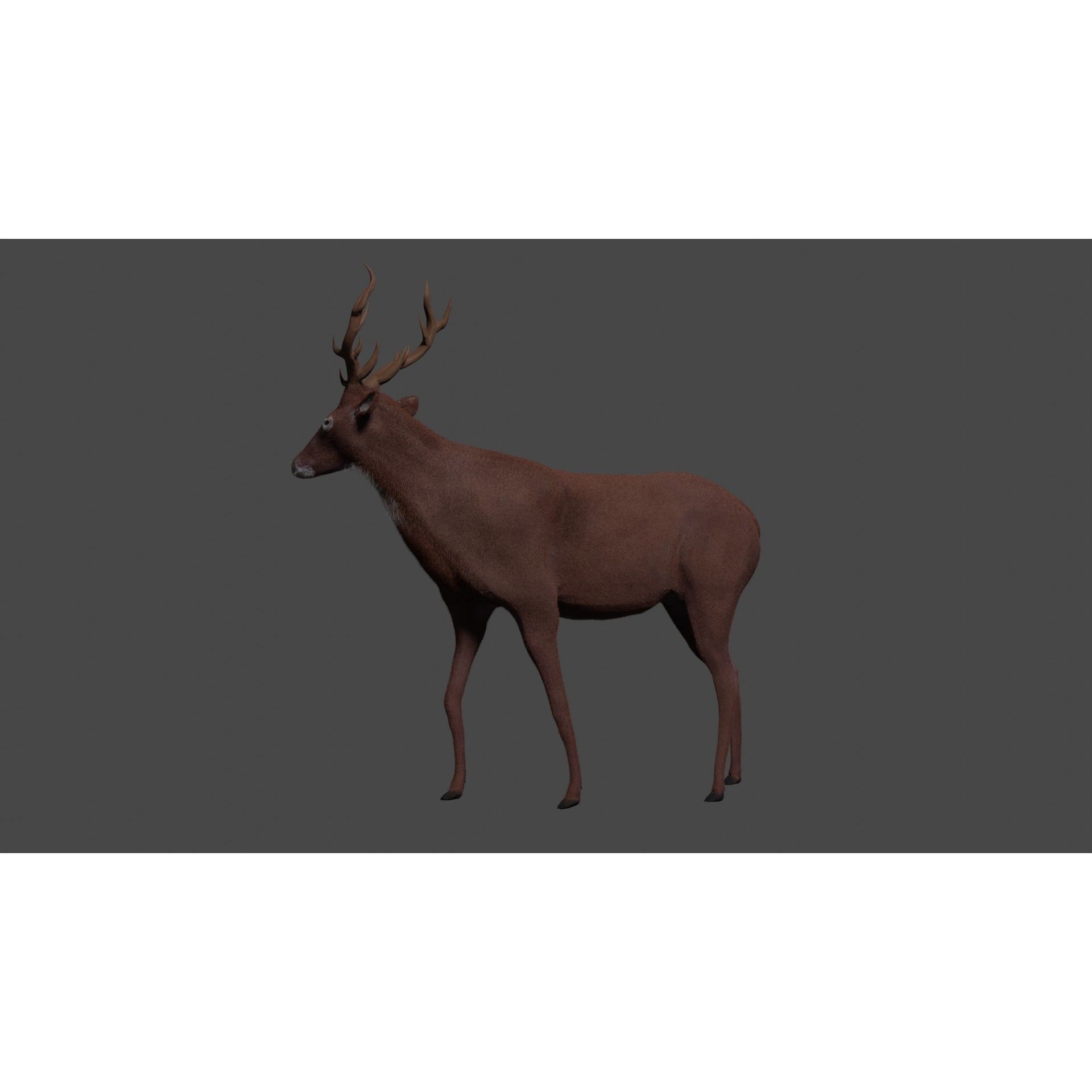 Deer - rigged - painted Free 3D model 2