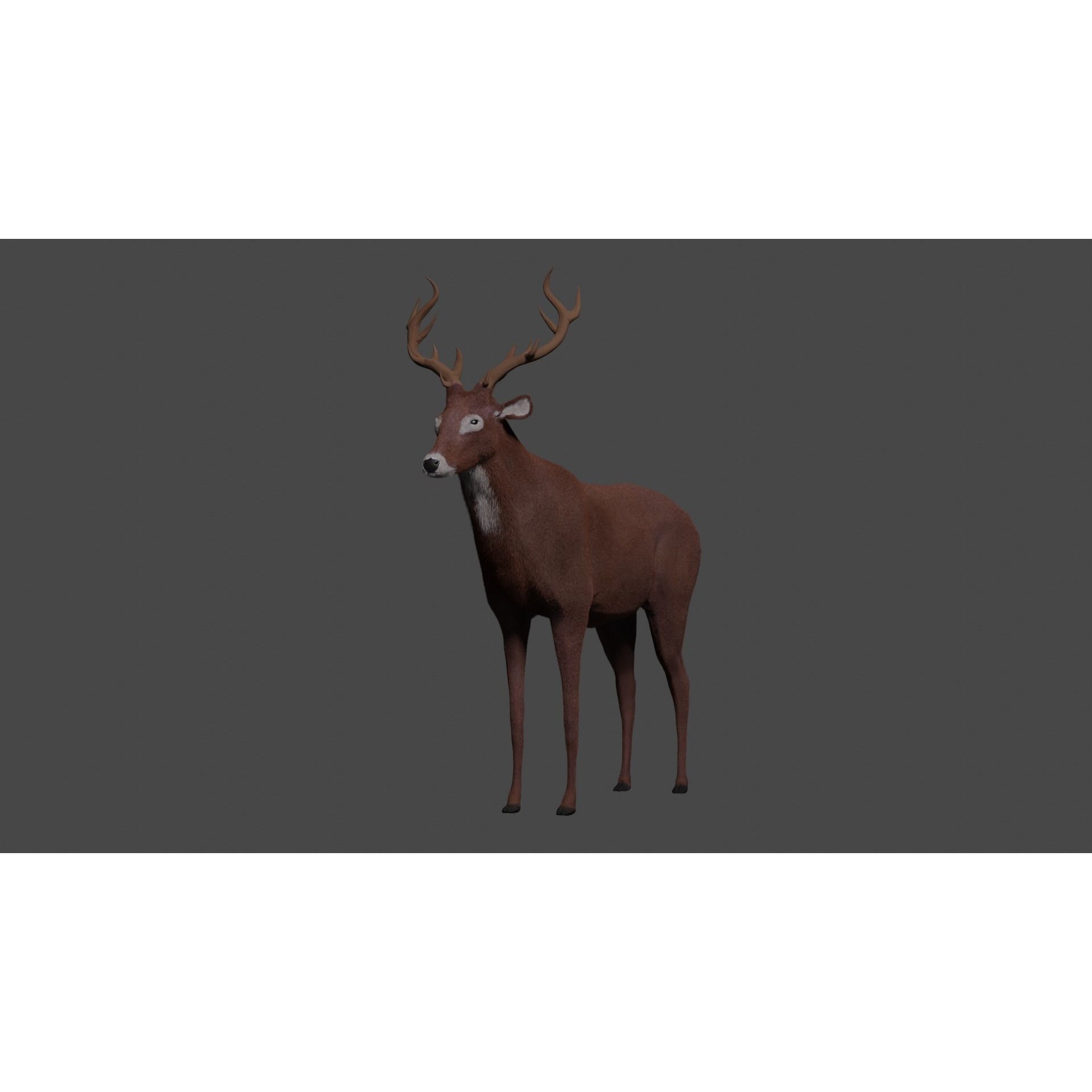 Deer - rigged - painted Free 3D model 3
