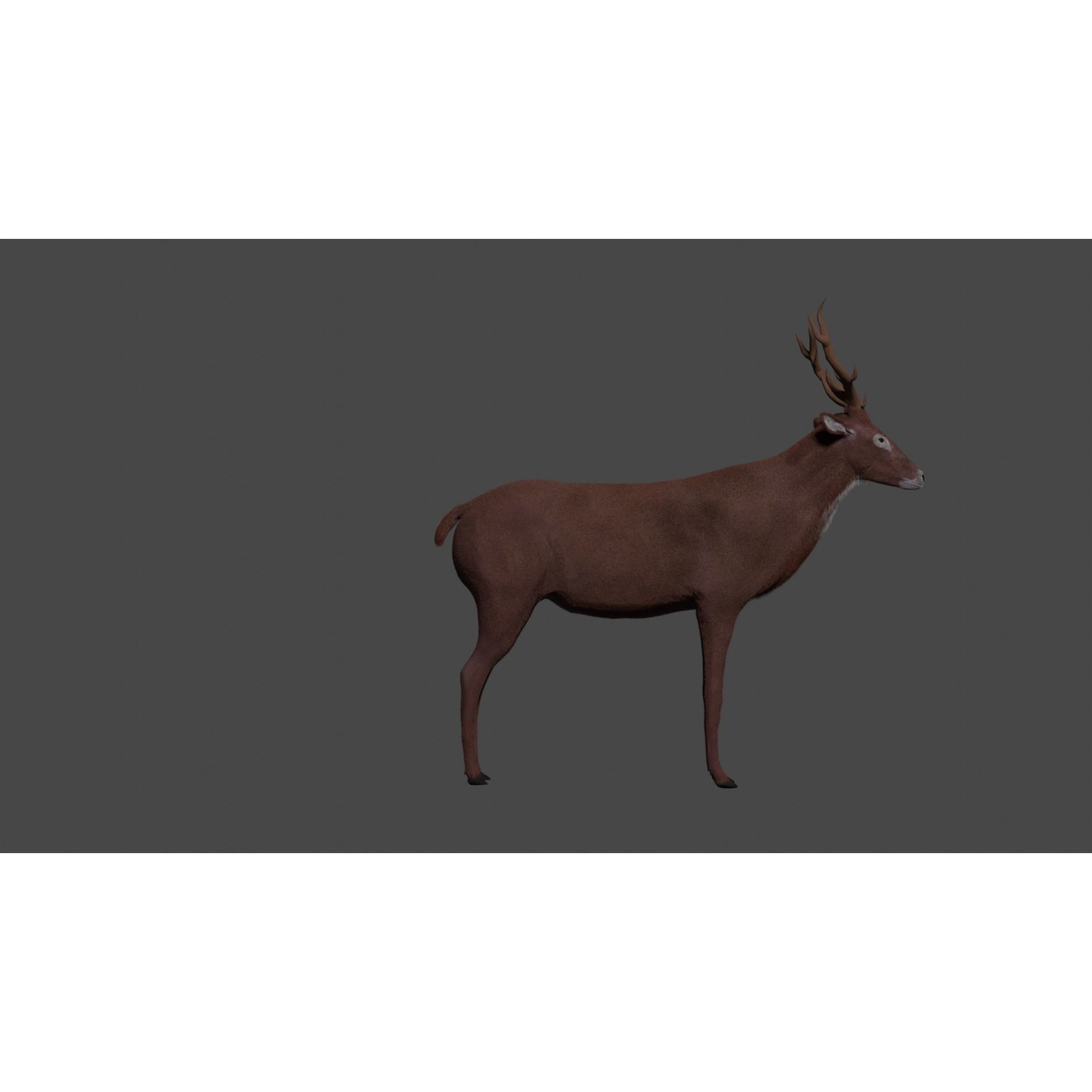 Deer - rigged - painted Free 3D model 5