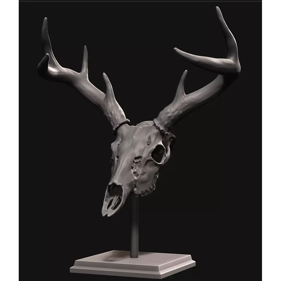 Deer skull with stand 3D print model