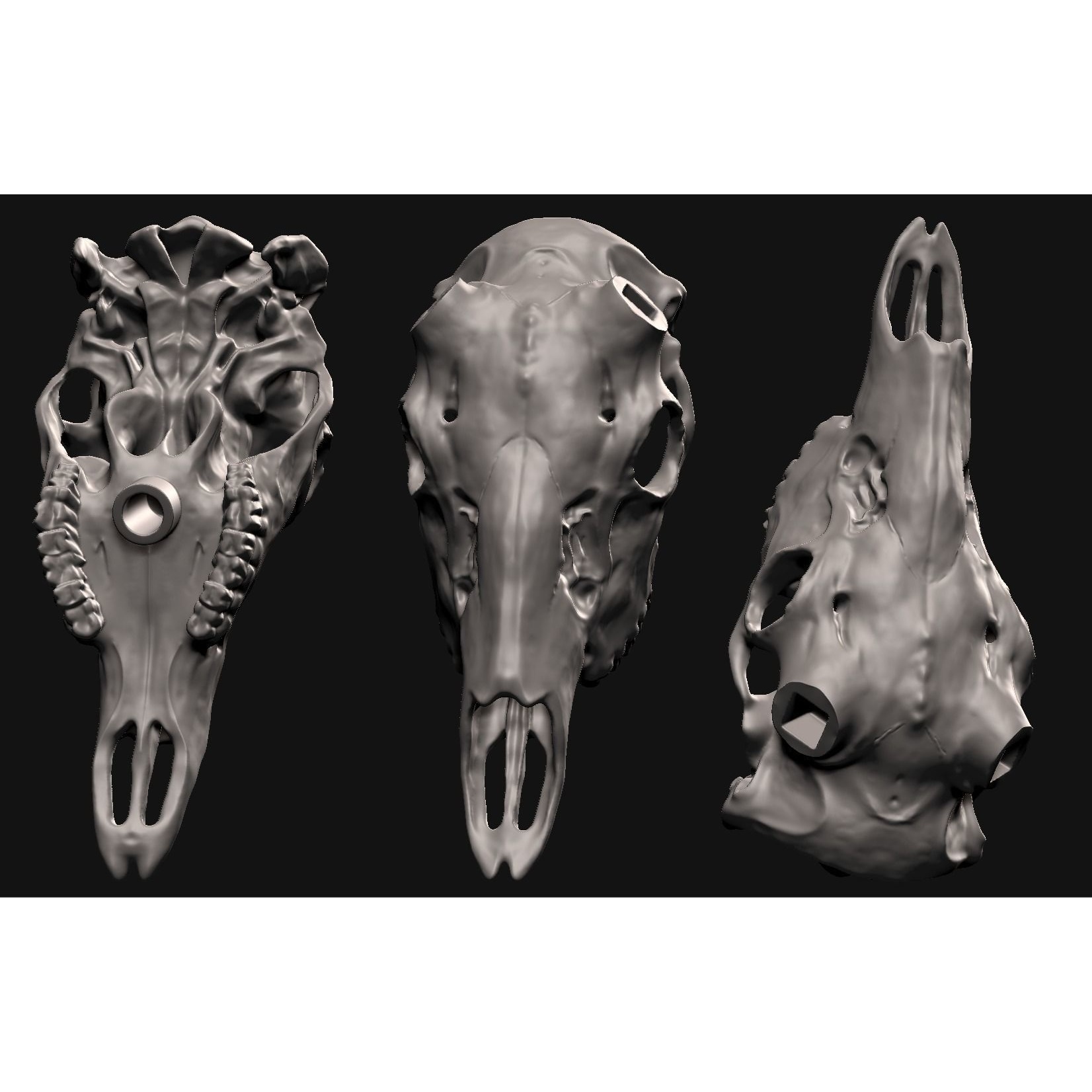 Deer skull with stand 3D print model 3