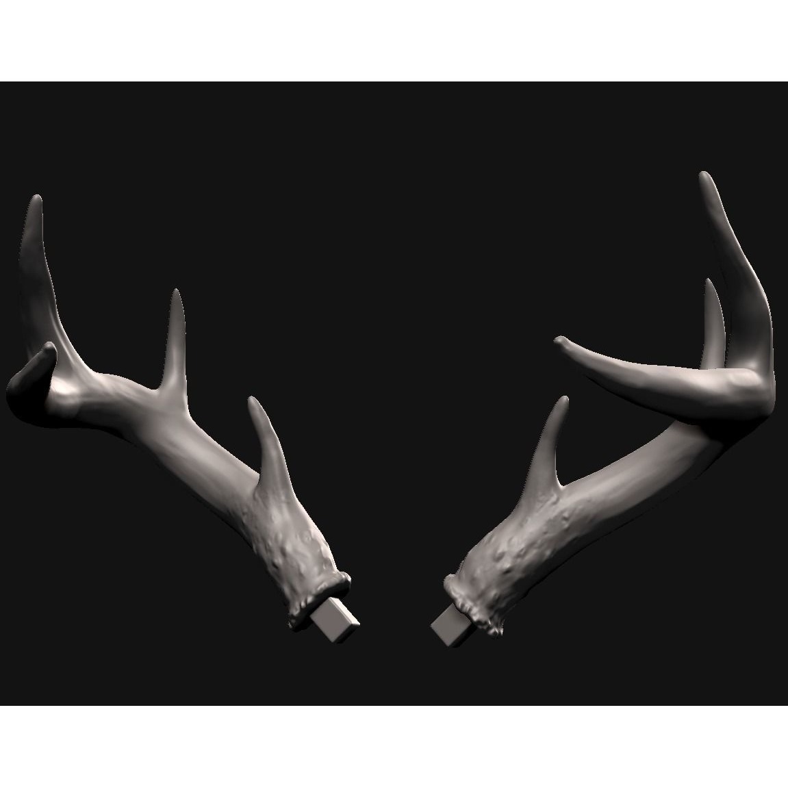 Deer skull with stand 3D print model 6
