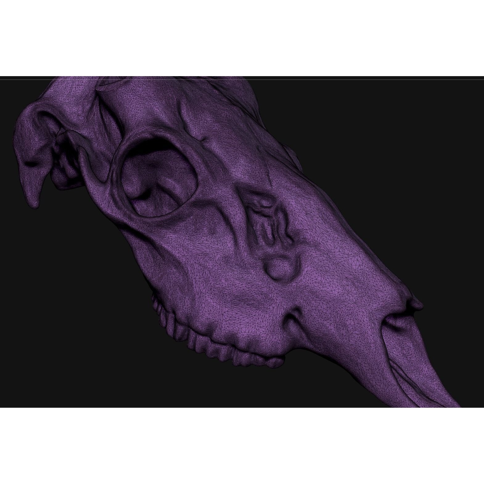 Deer skull with stand 3D print model 8