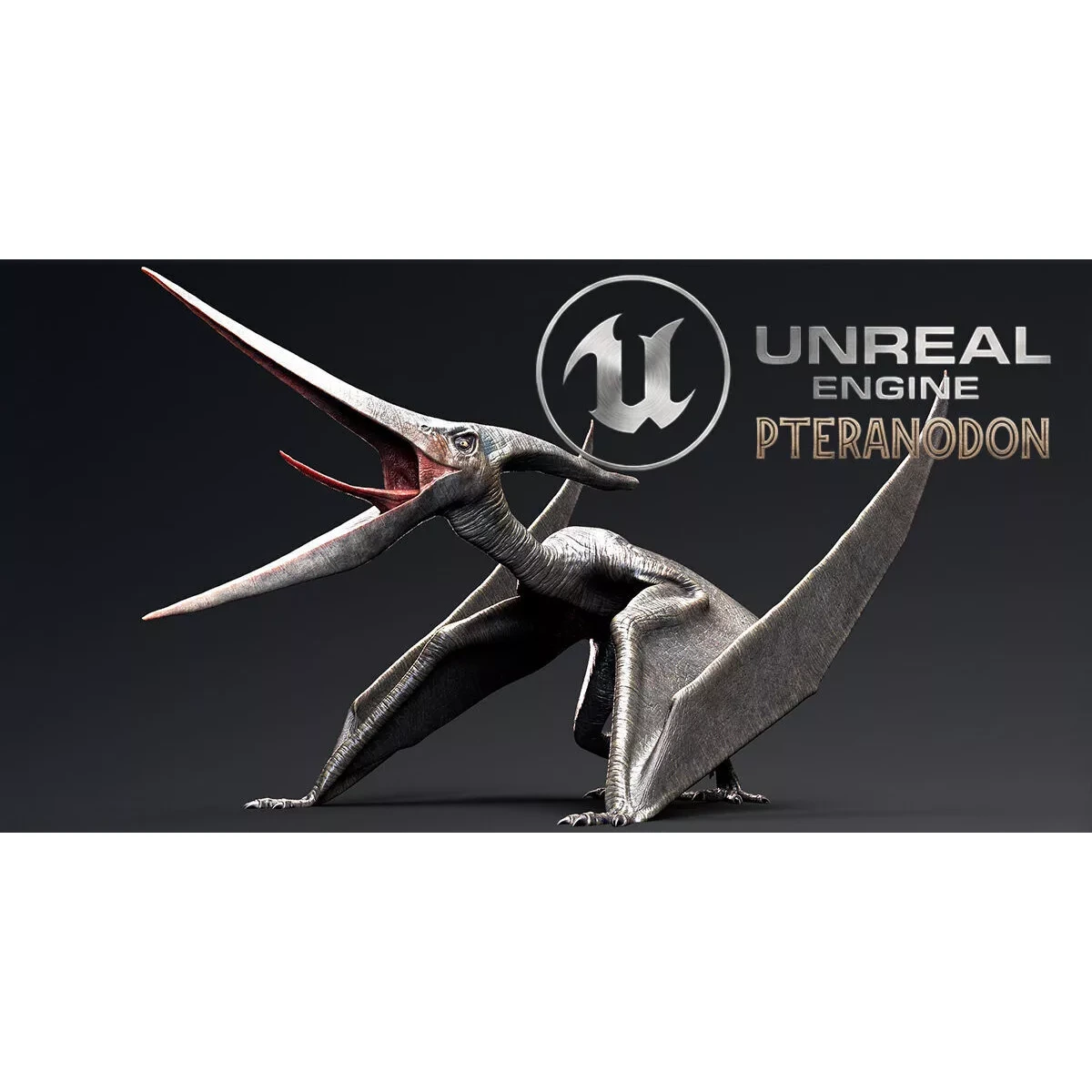 Dinosaur Pteranodon 179 Animations - Unreal Engine Project Low-poly 3D model