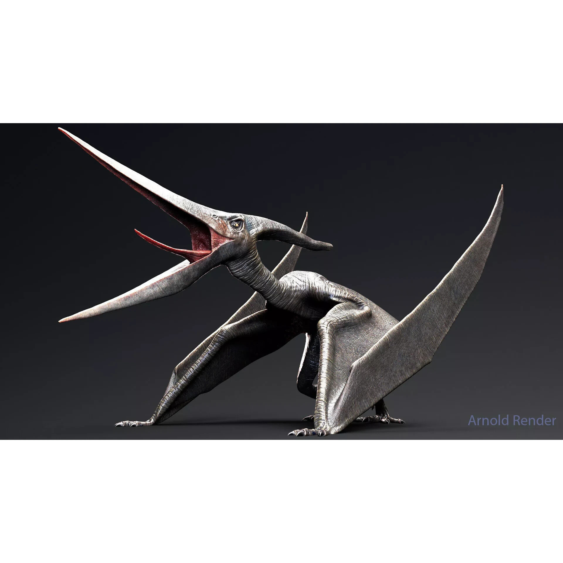 Dinosaur Pteranodon 179 Animations - Unreal Engine Project Low-poly 3D model 2