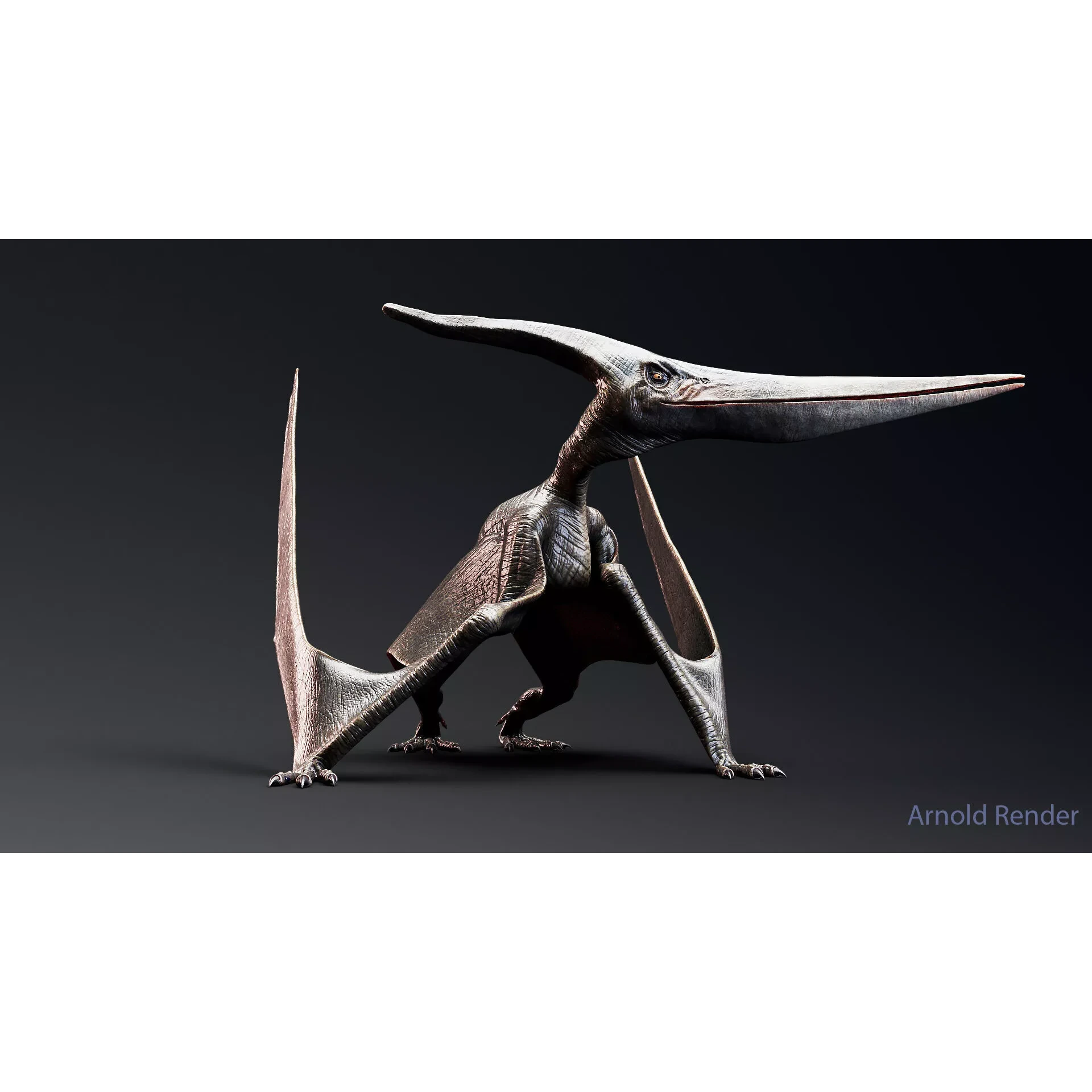 Dinosaur Pteranodon 179 Animations - Unreal Engine Project Low-poly 3D model 3