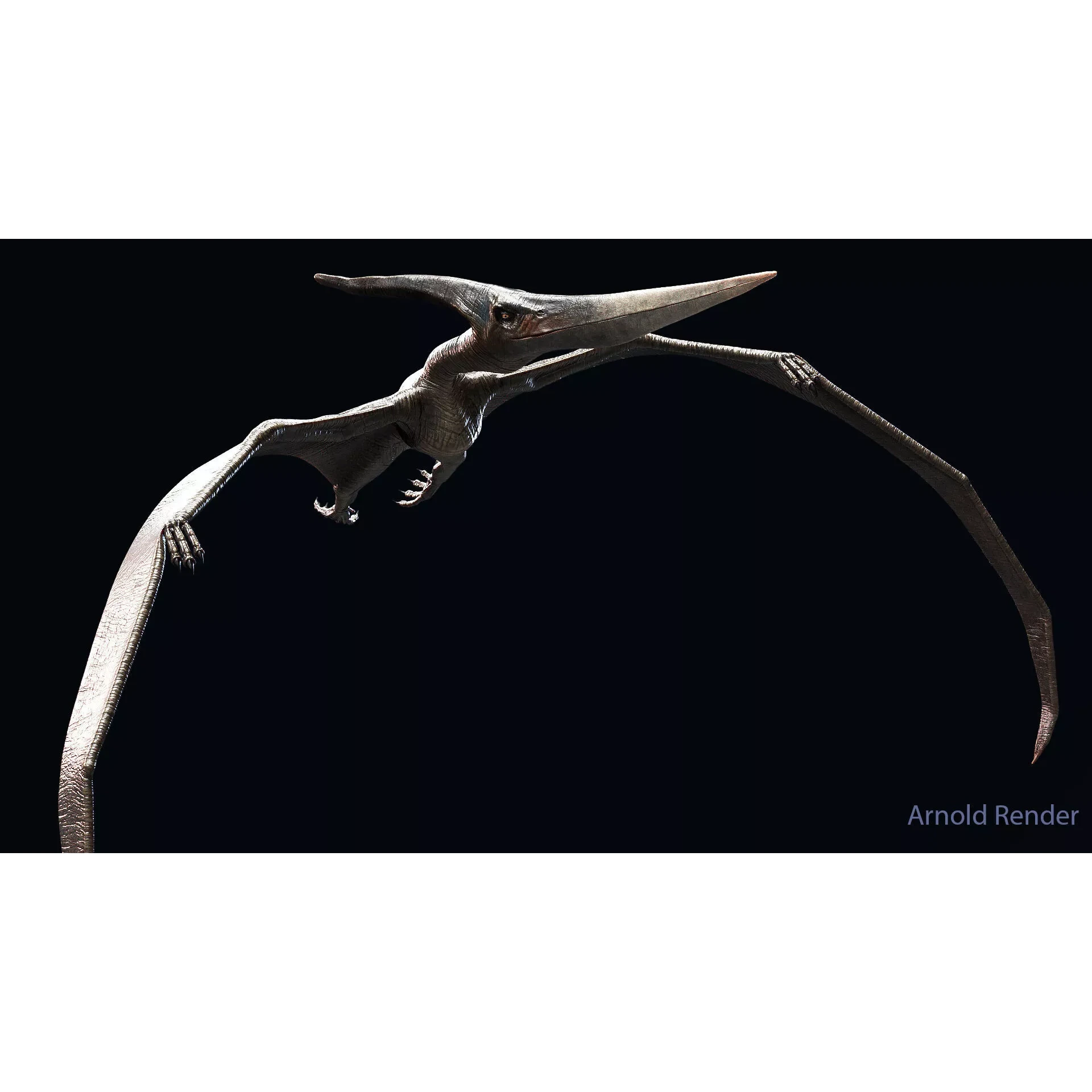 Dinosaur Pteranodon 179 Animations - Unreal Engine Project Low-poly 3D model 5