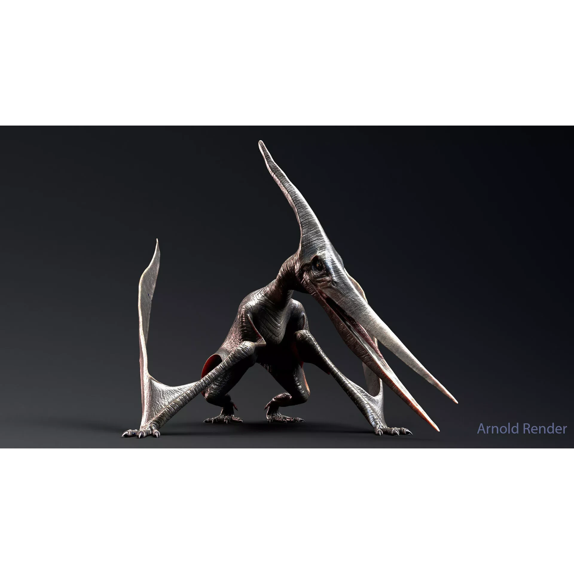 Dinosaur Pteranodon 179 Animations - Unreal Engine Project Low-poly 3D model 7