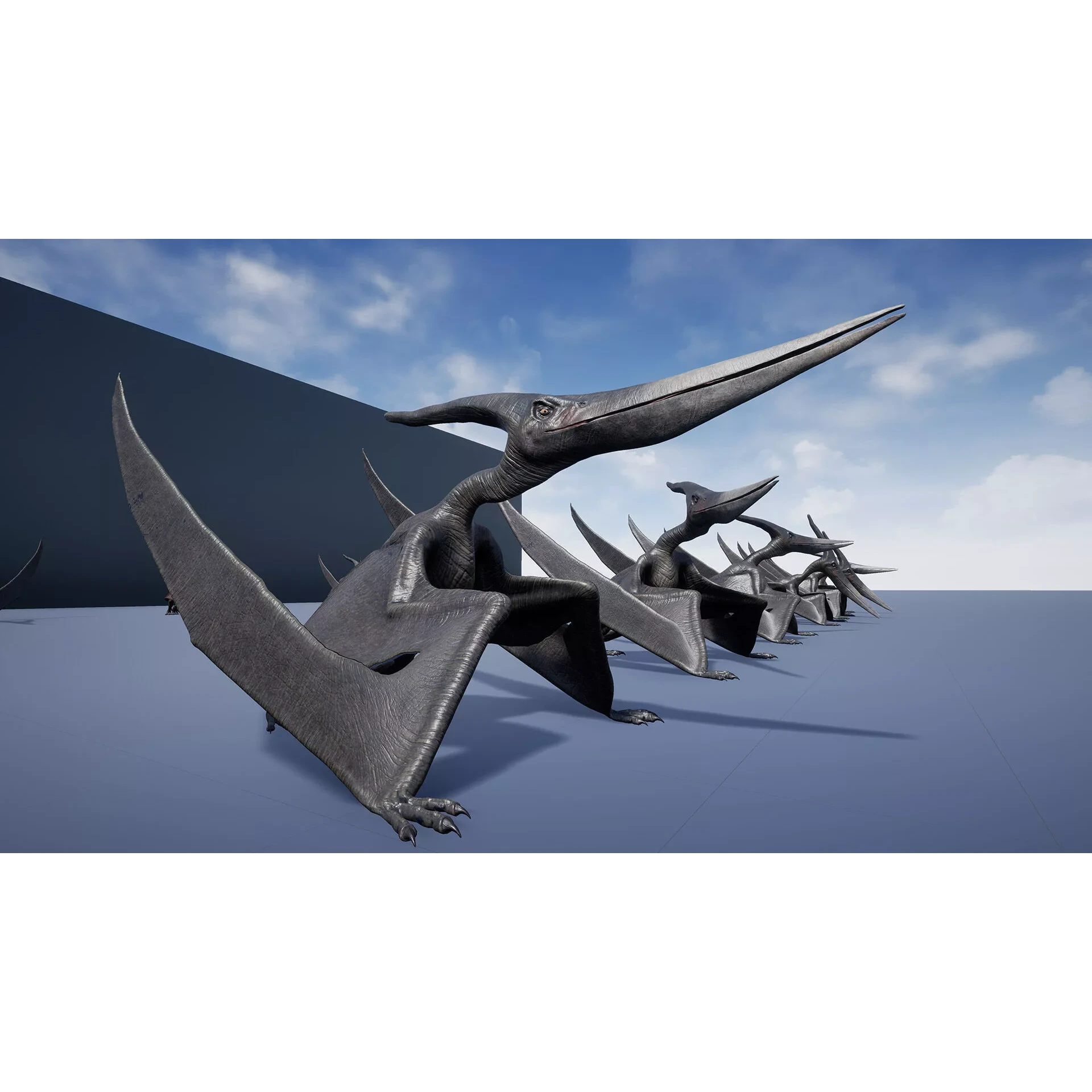 Dinosaur Pteranodon 179 Animations - Unreal Engine Project Low-poly 3D model 9