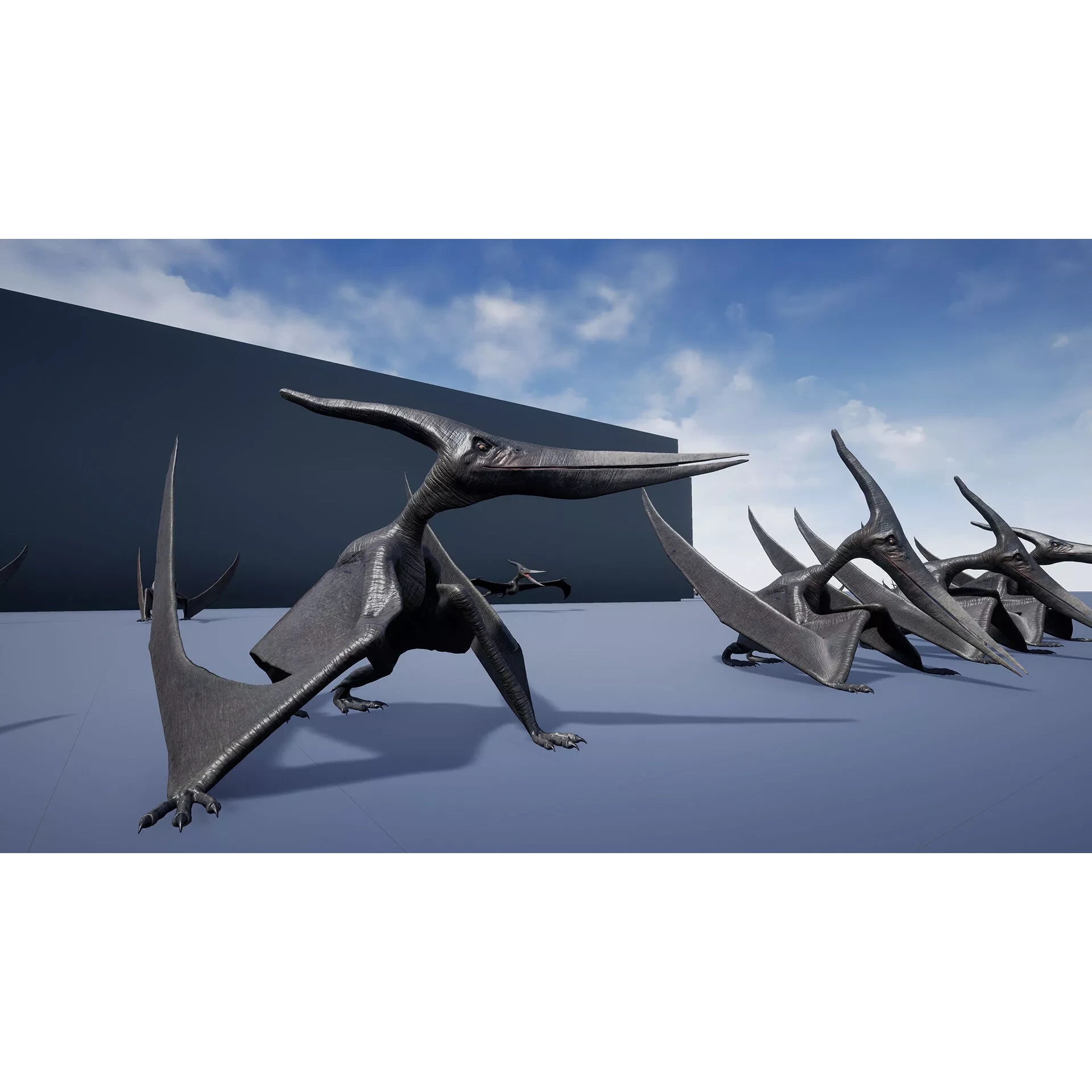 Dinosaur Pteranodon 179 Animations - Unreal Engine Project Low-poly 3D model 10