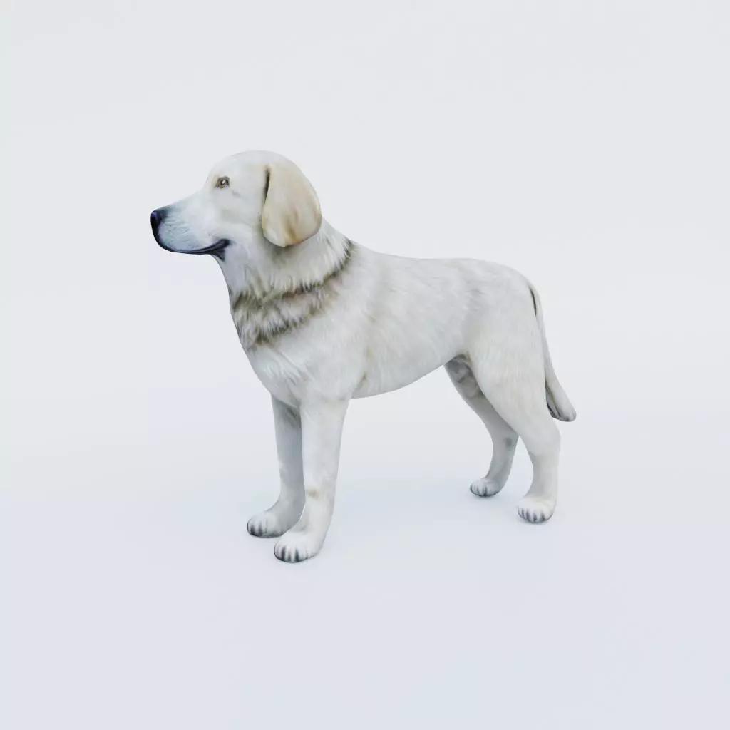 Dog Animal Free 3D model
