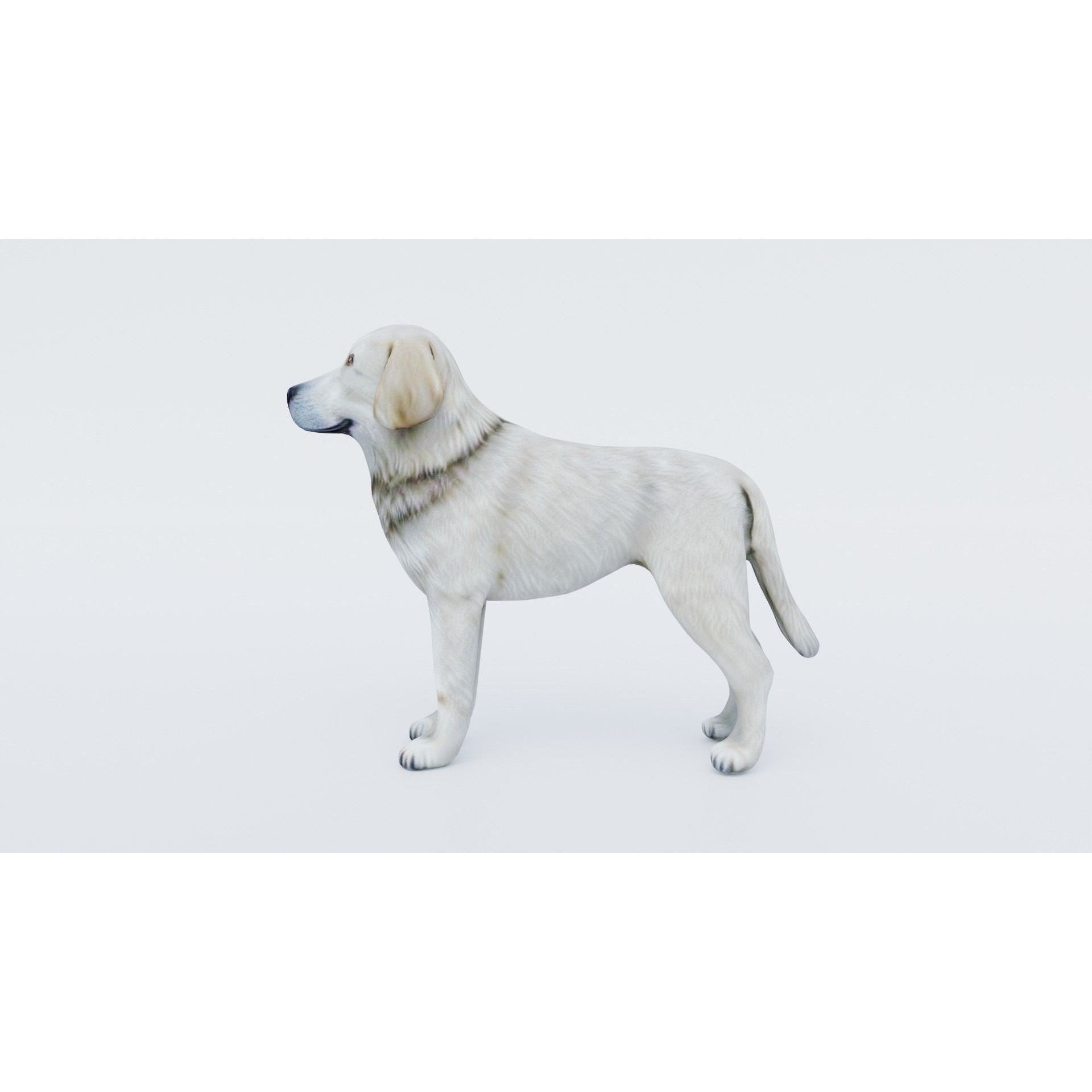 Dog Animal Free 3D model 2