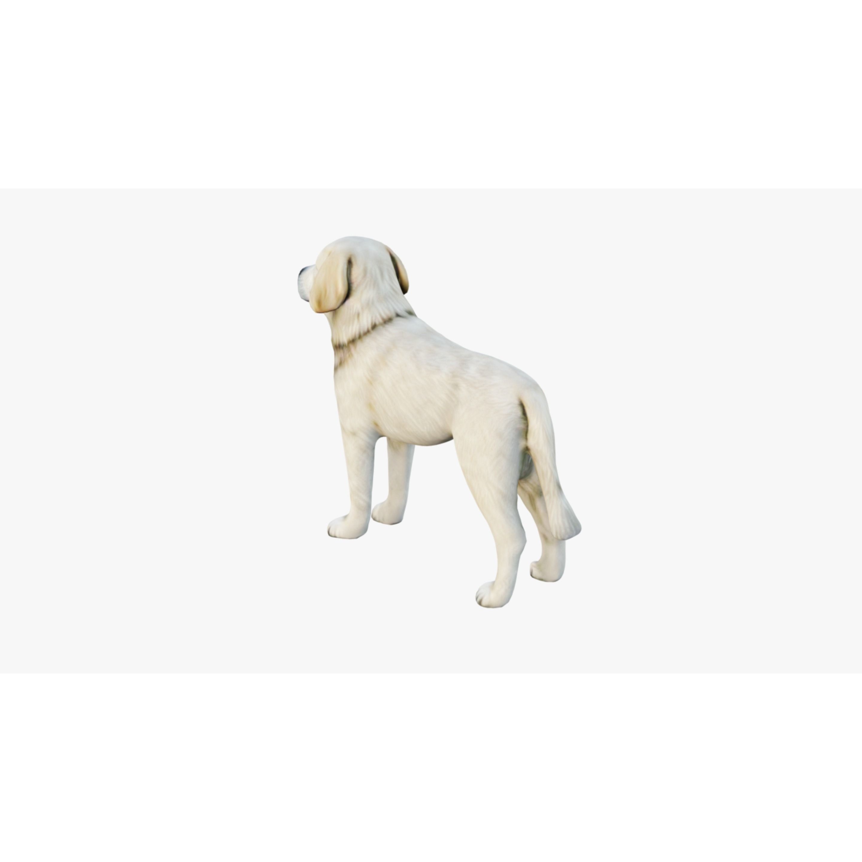 Dog Animal Free 3D model 4