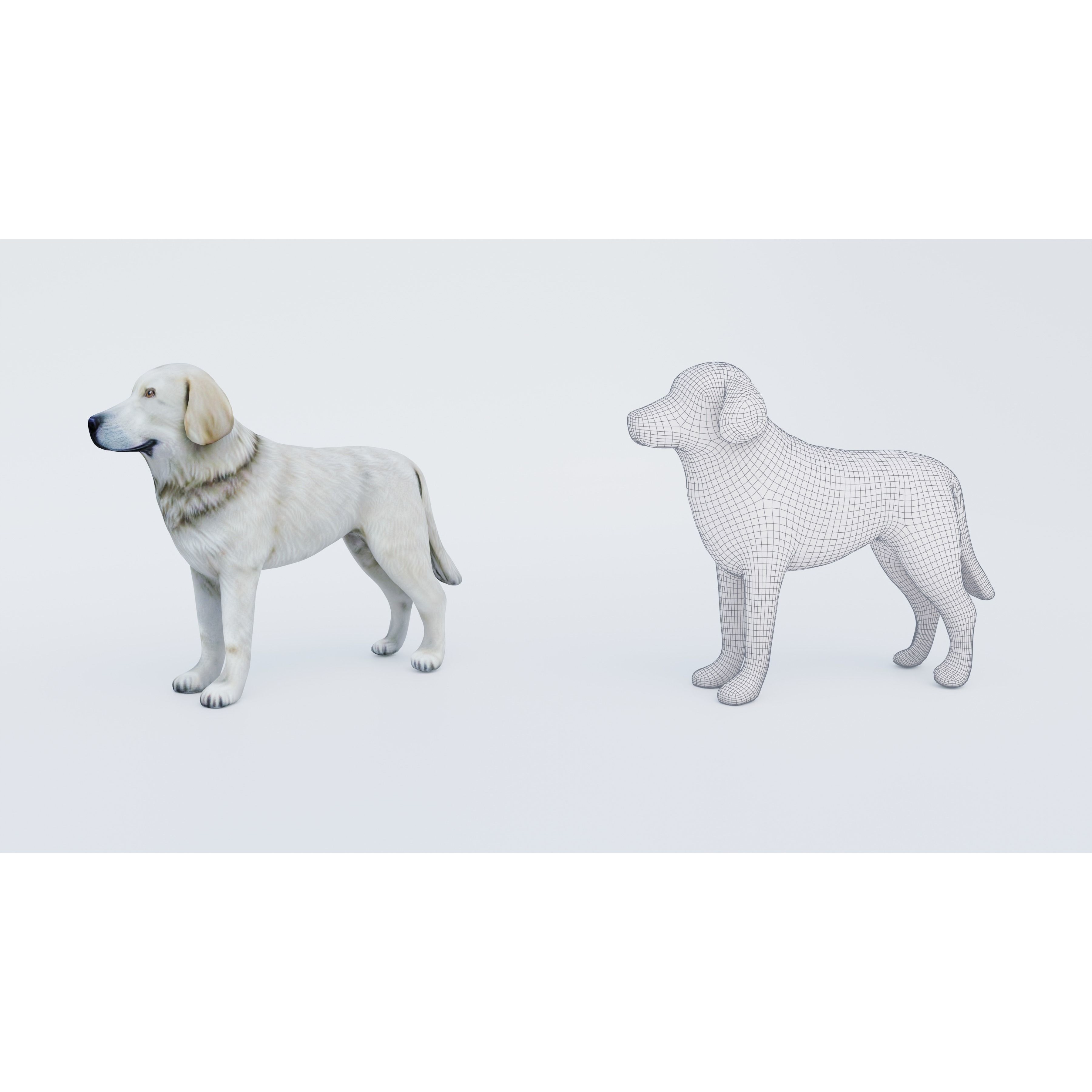 Dog Animal Free 3D model 6