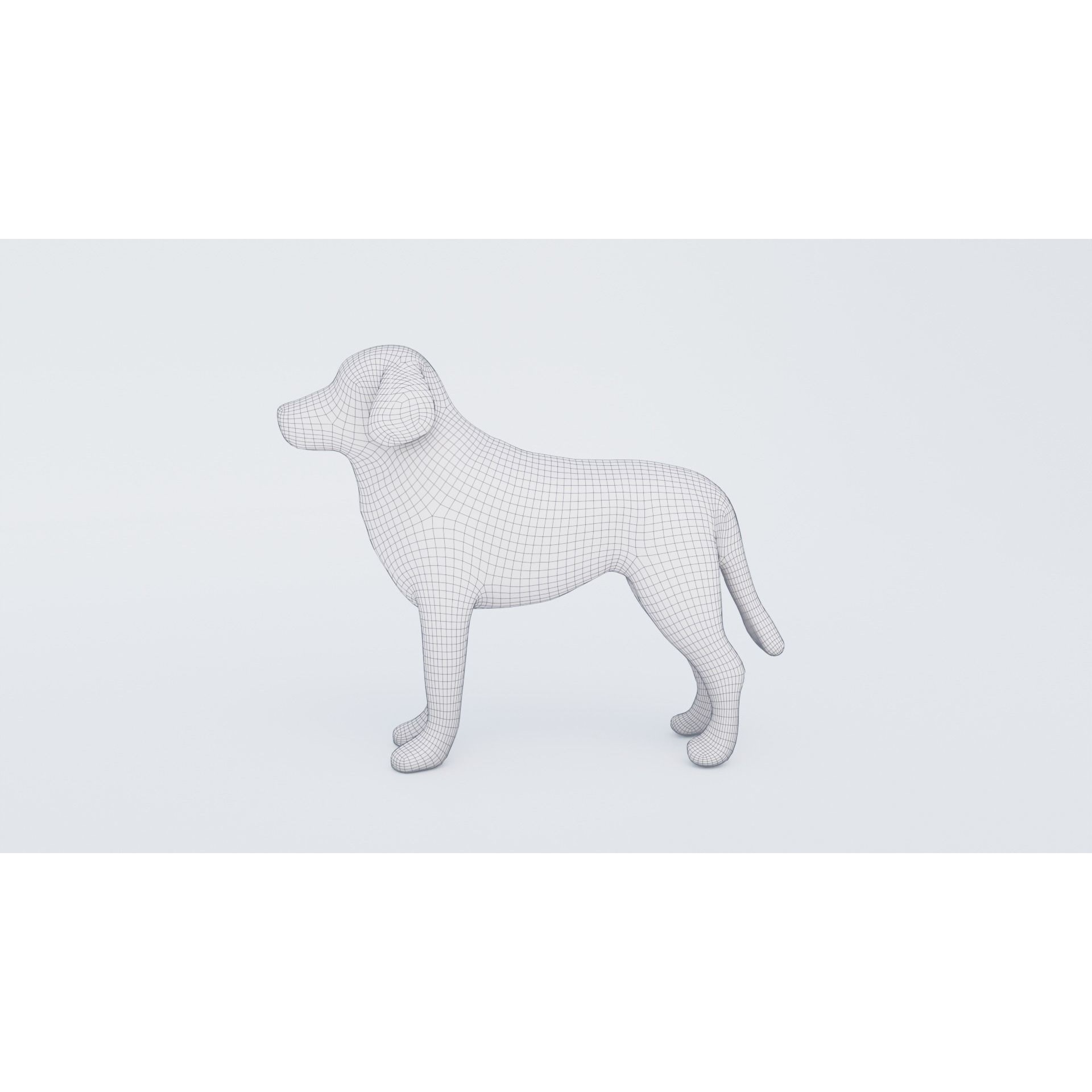Dog Animal Free 3D model 7