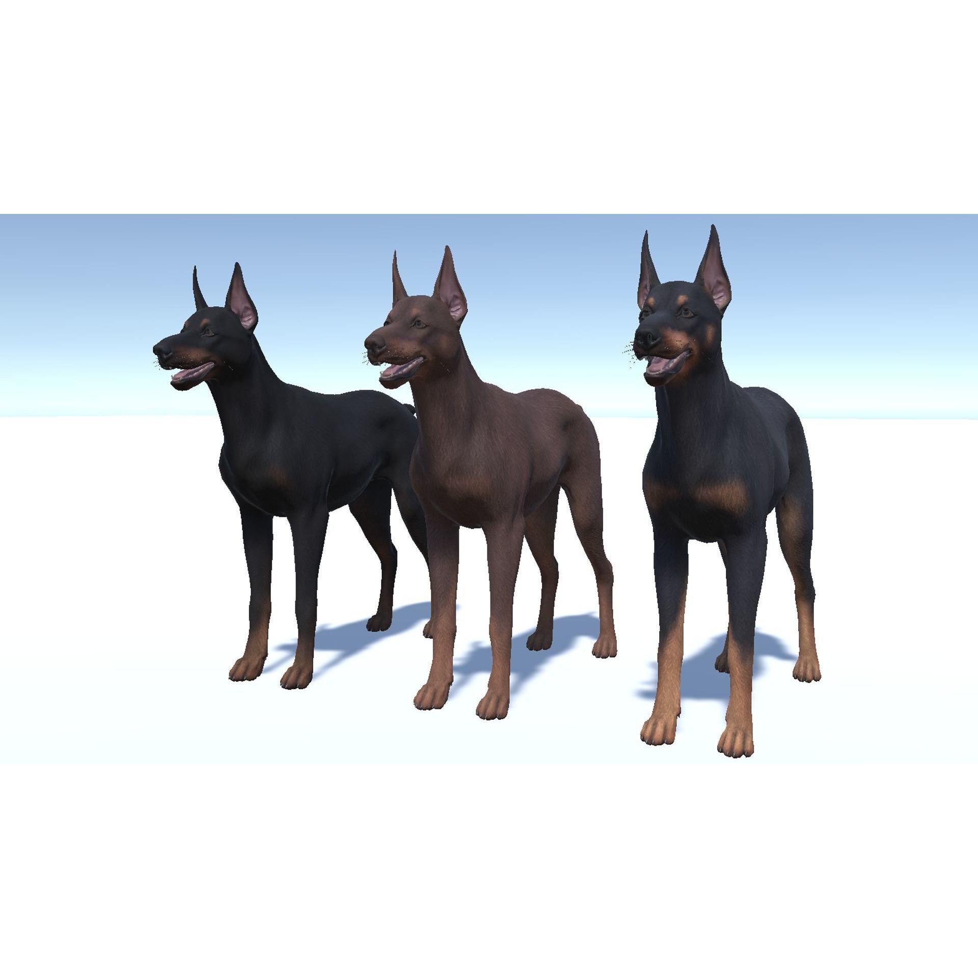 Dog - Doberman Low-poly 3D model 7