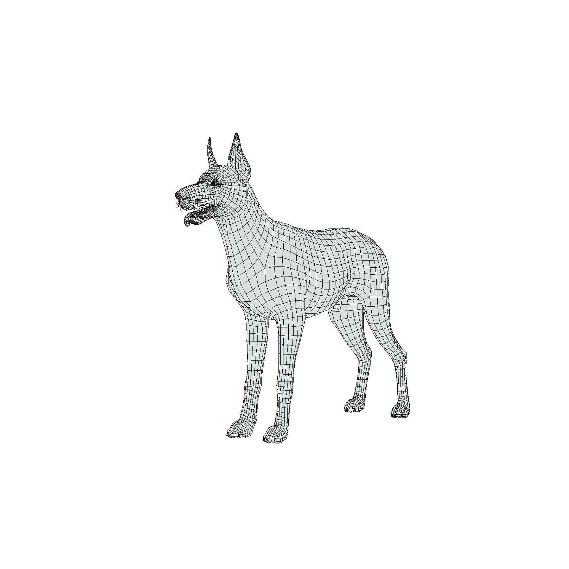 Dog - Doberman Low-poly 3D model 8