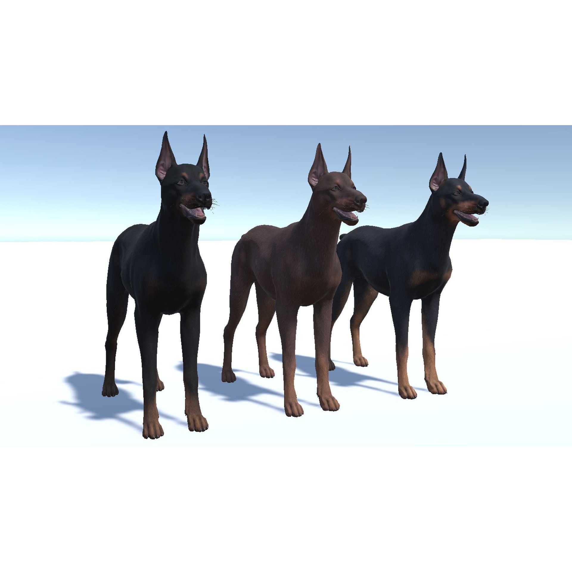 Dog - Doberman Low-poly 3D model 10