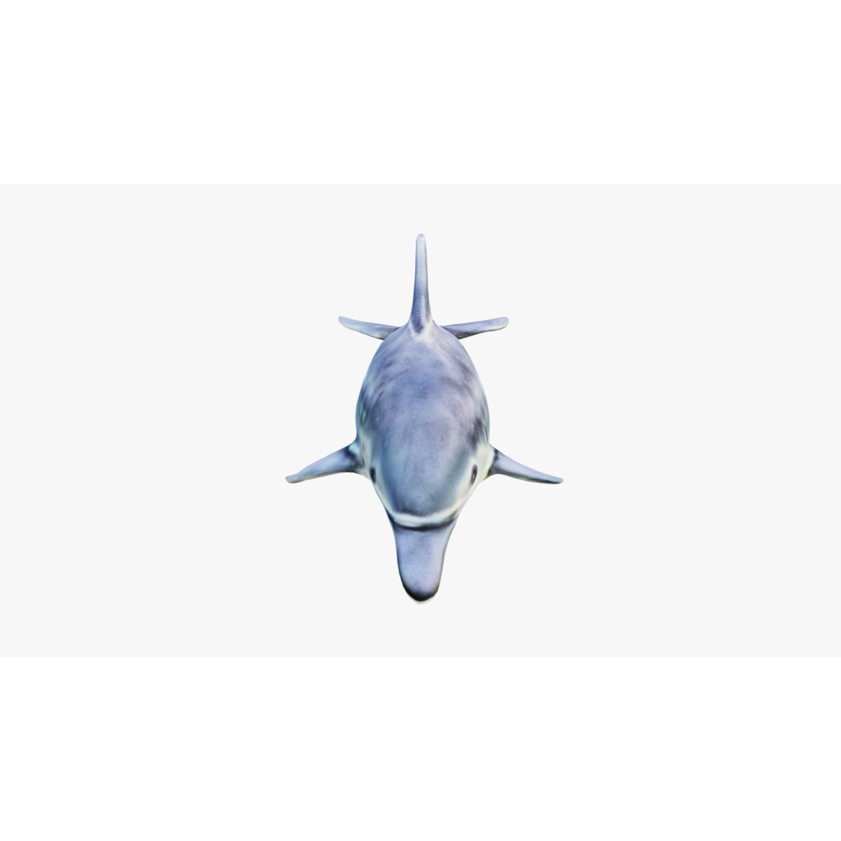 Dolphin Free 3D model 3