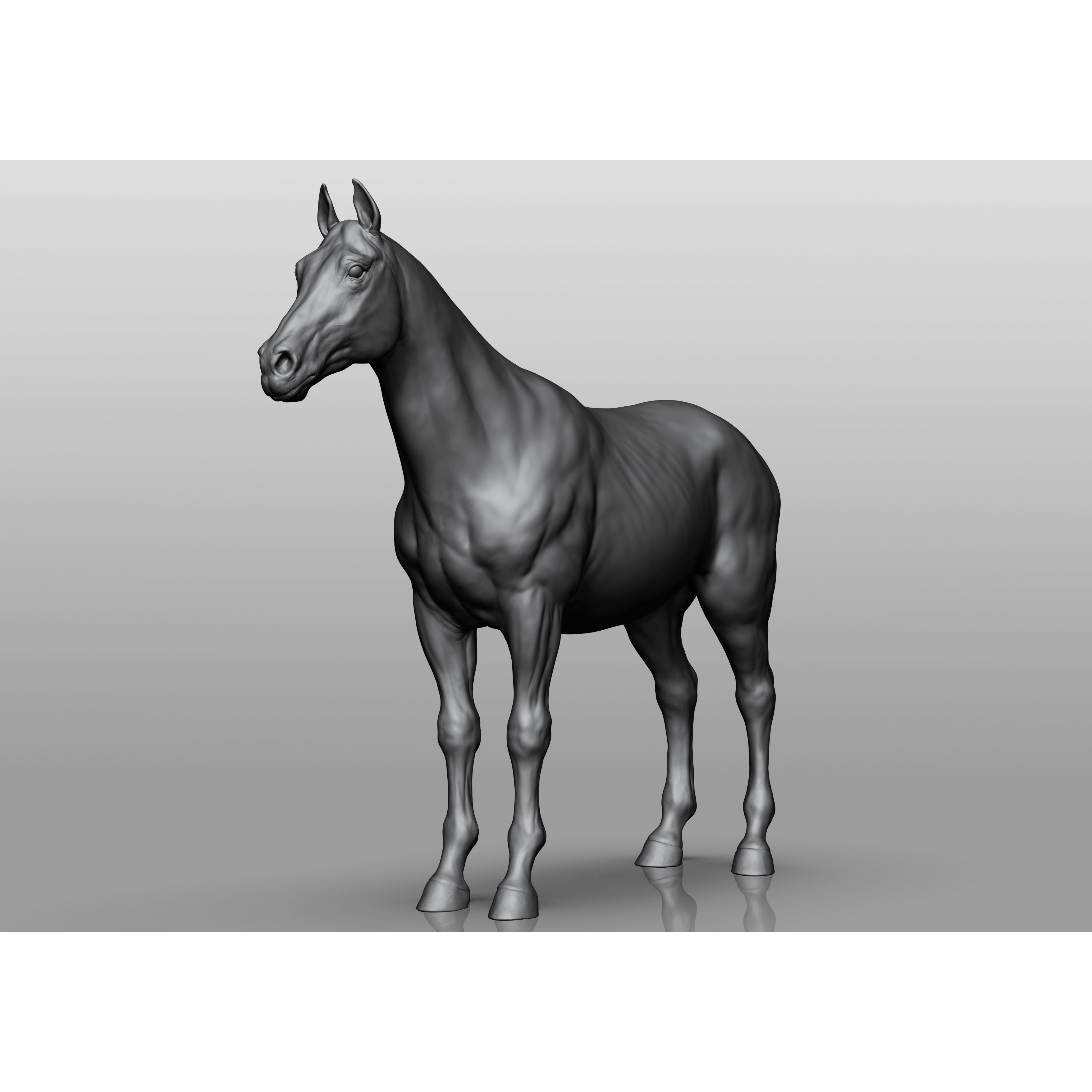 Domestic animal collection 3D model 2