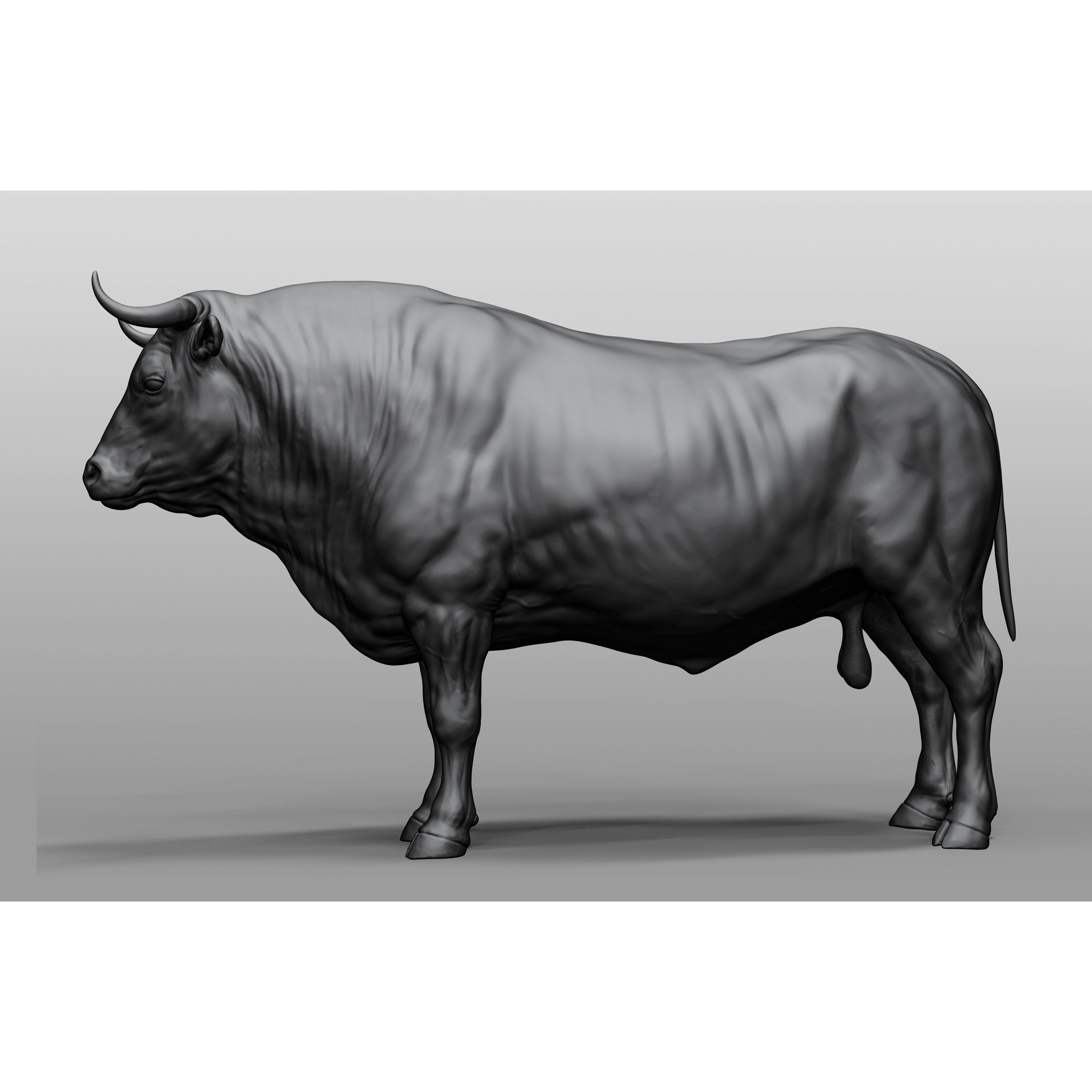 Domestic animal collection 3D model 3