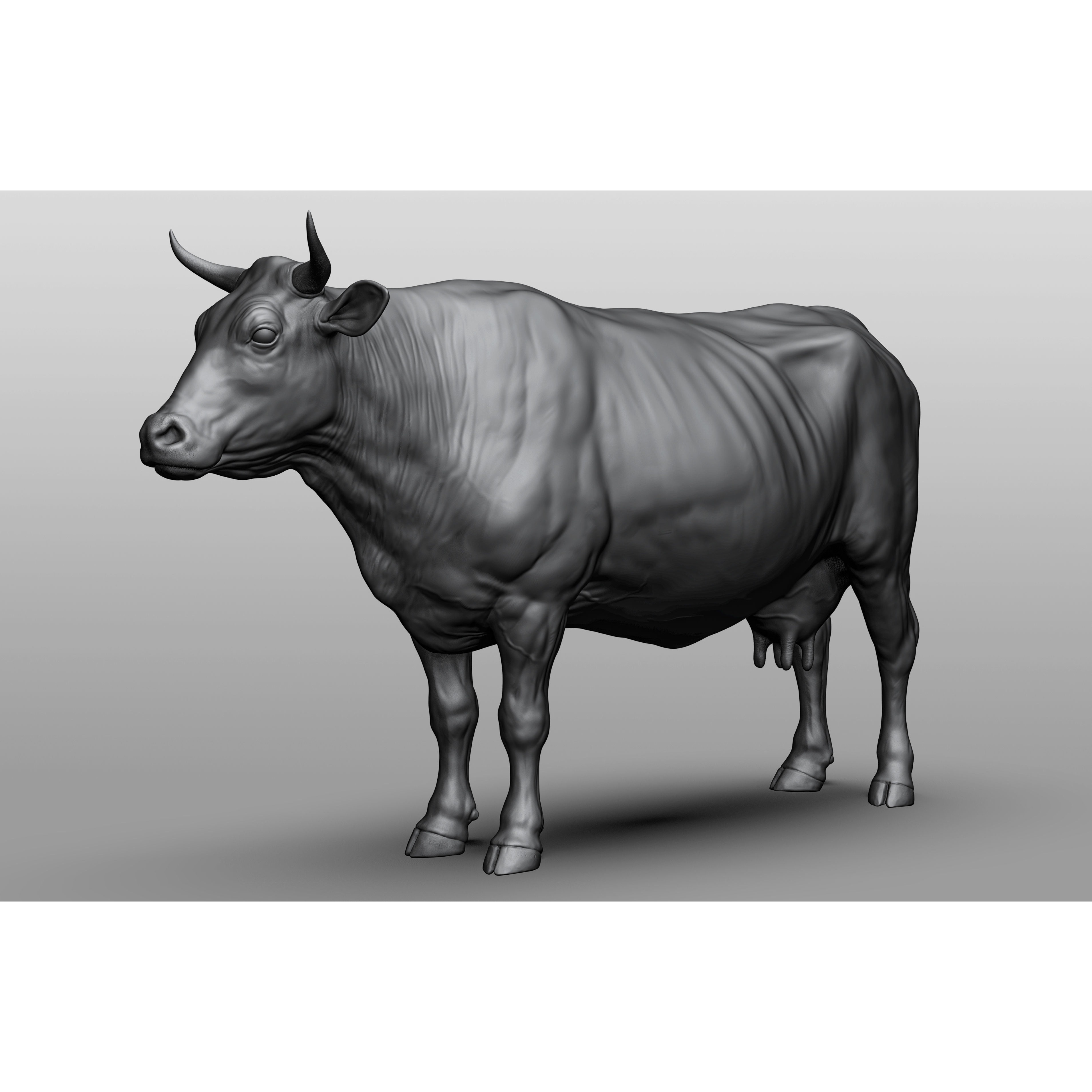 Domestic animal collection 3D model 4