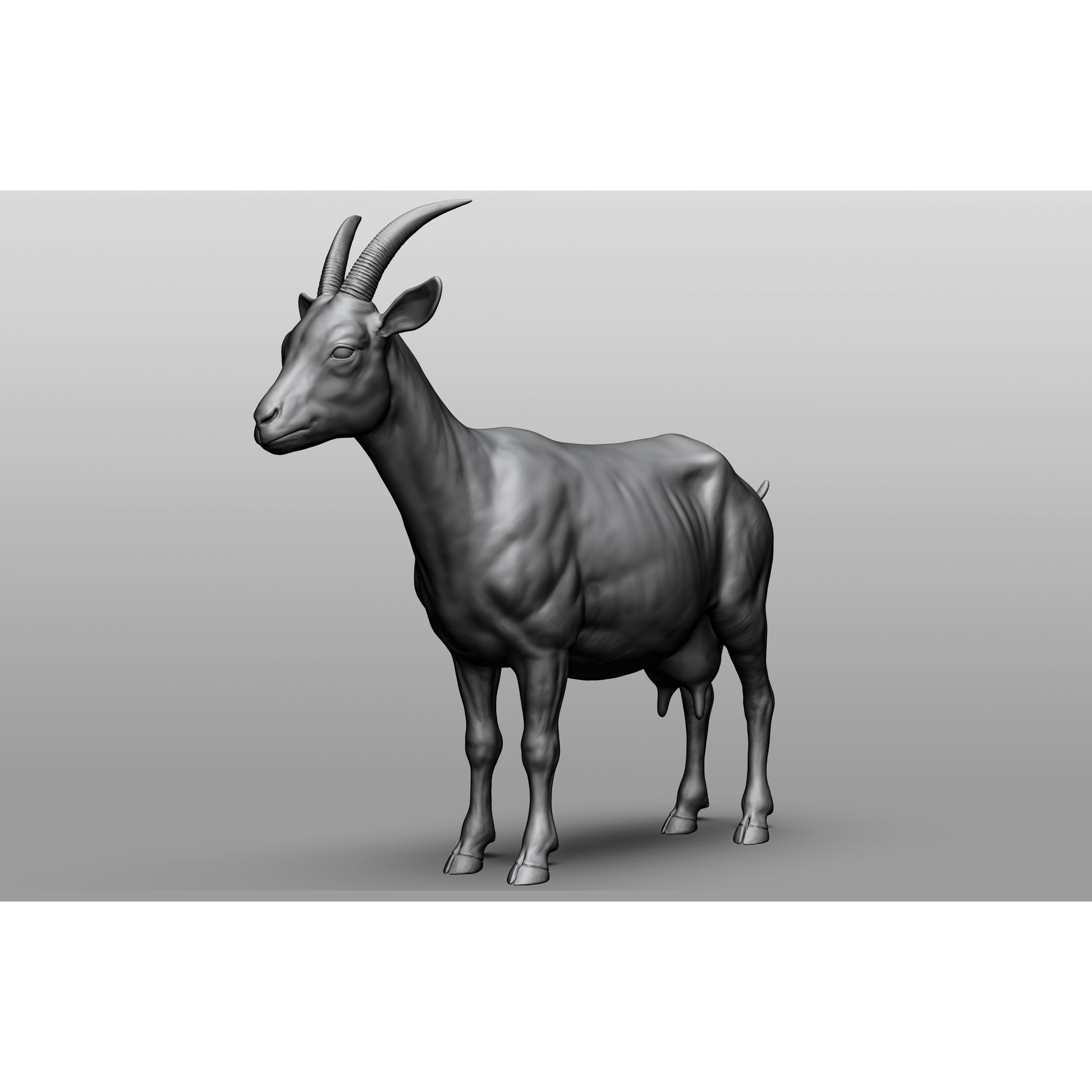 Domestic animal collection 3D model 7