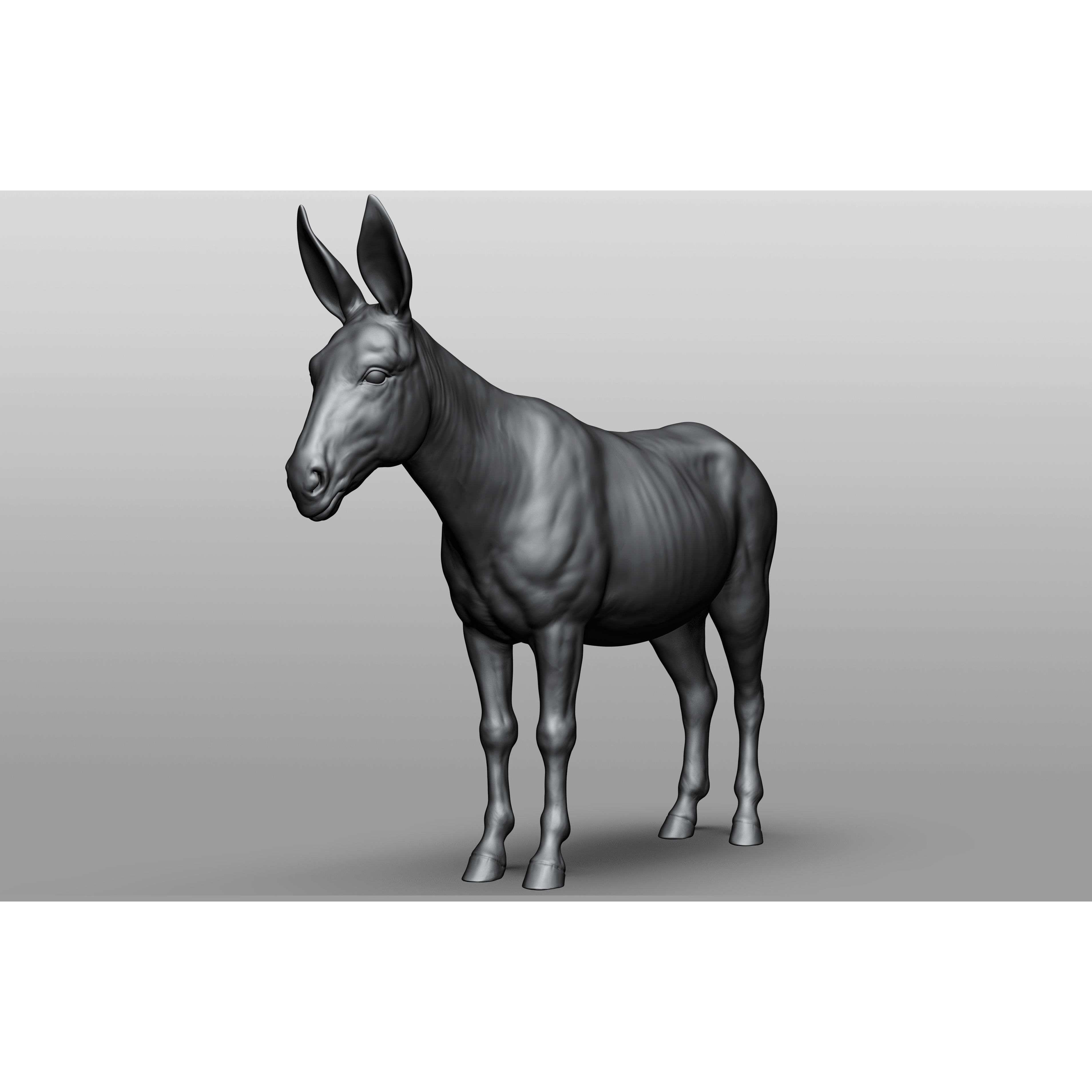 Domestic animal collection 3D model 8