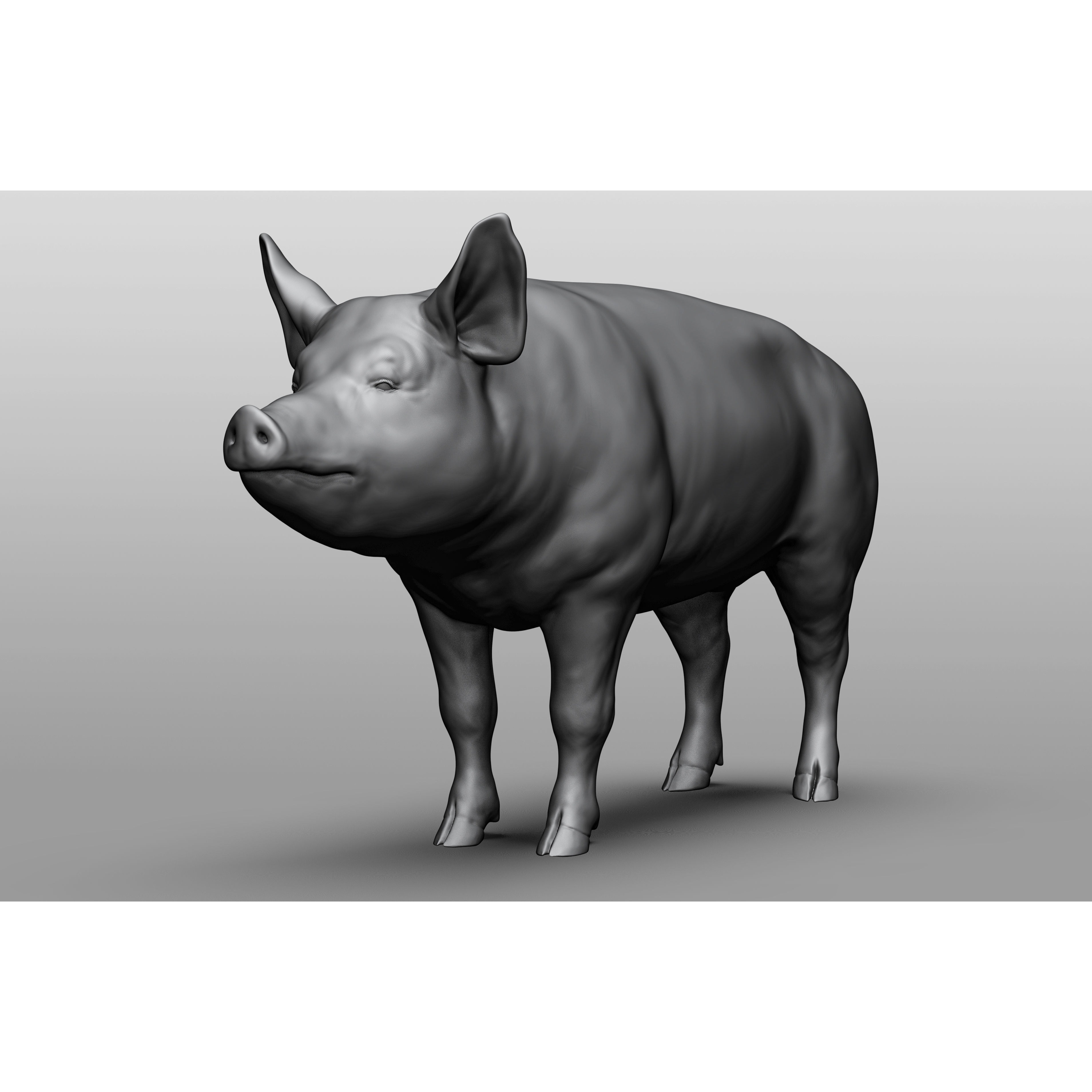 Domestic animal collection 3D model 9
