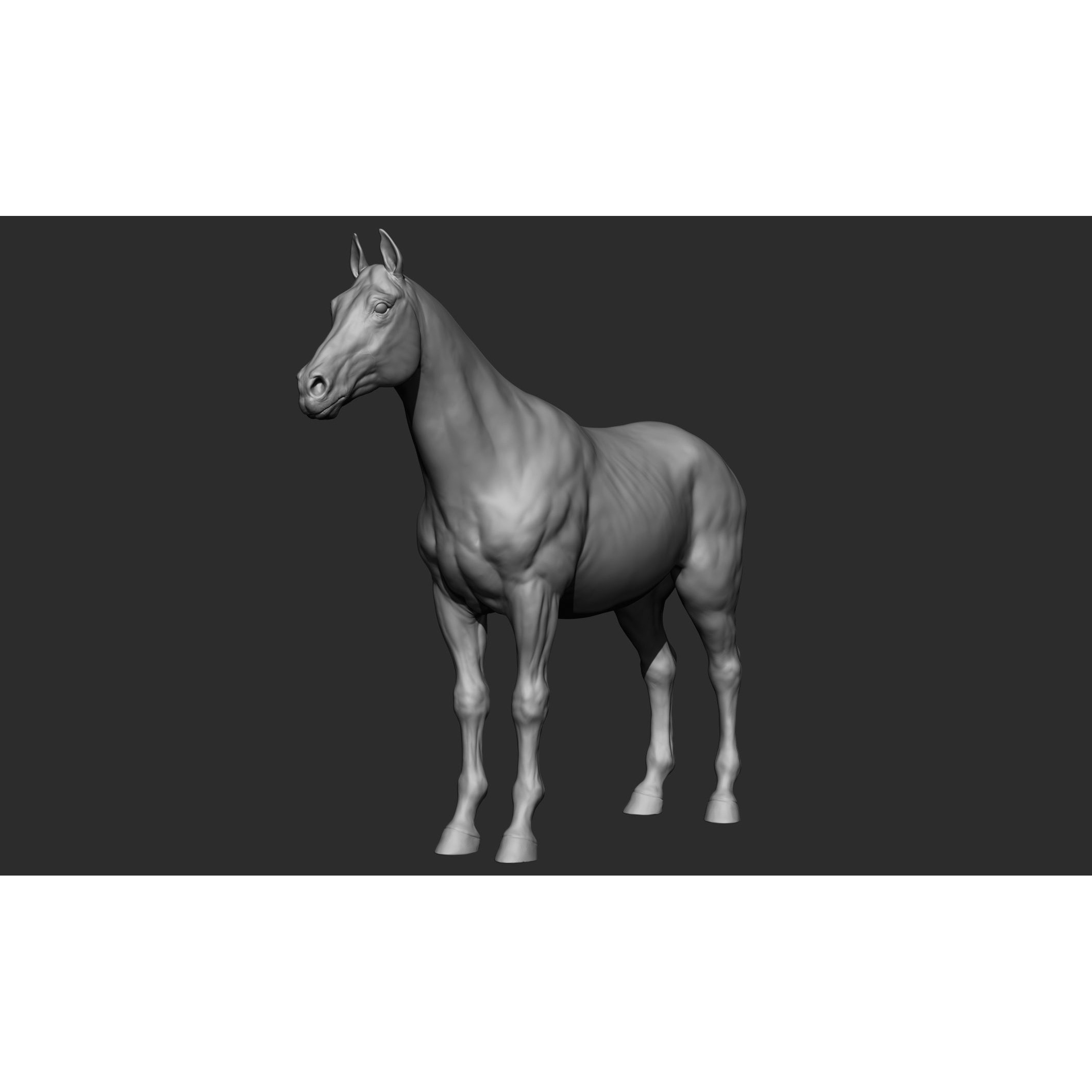 Domestic animal collection 3D model 10