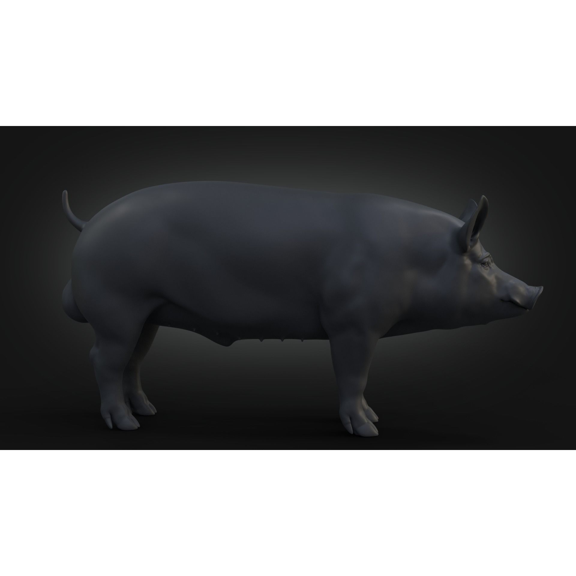 DomesticPig Male Free 3D model 2
