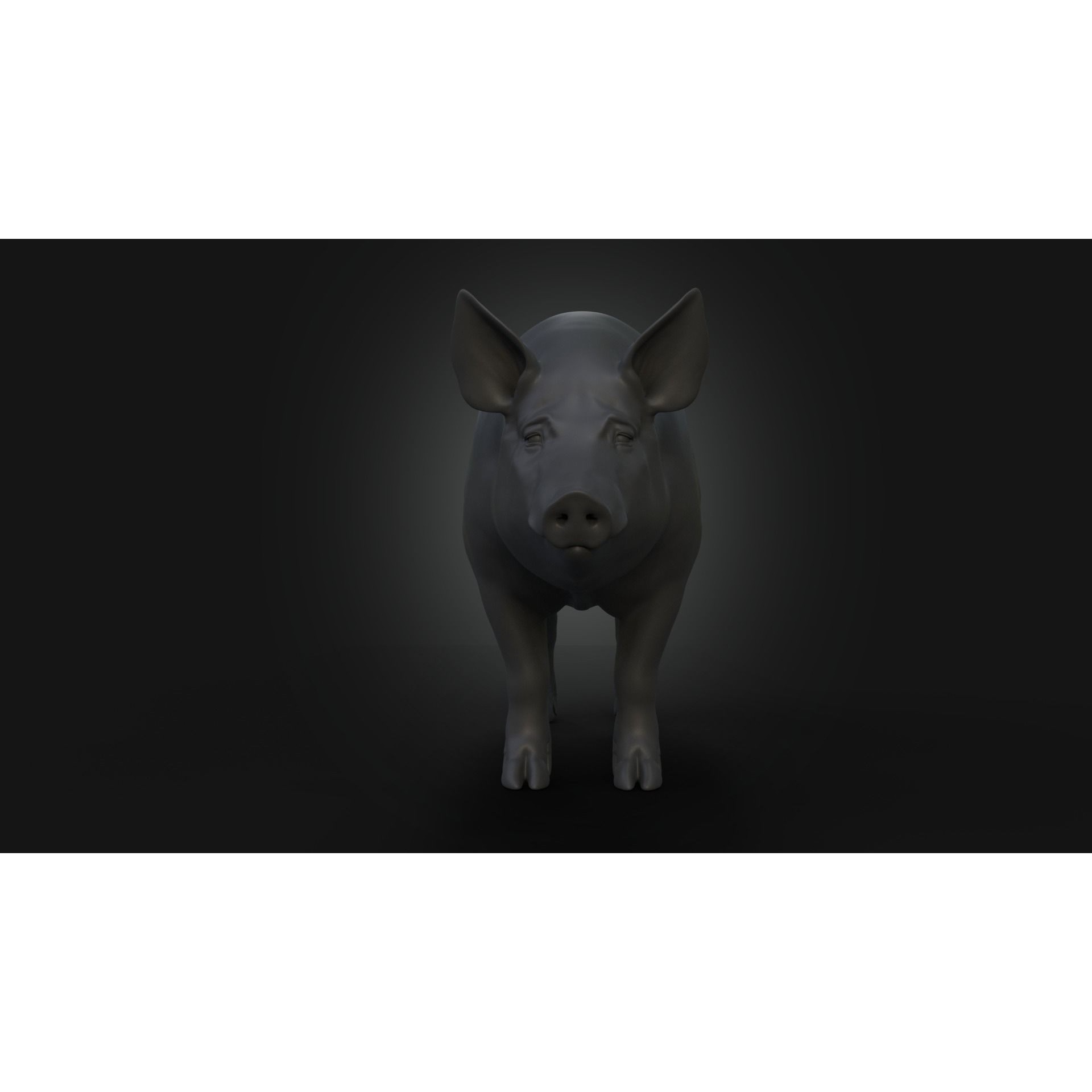 DomesticPig Male Free 3D model 3