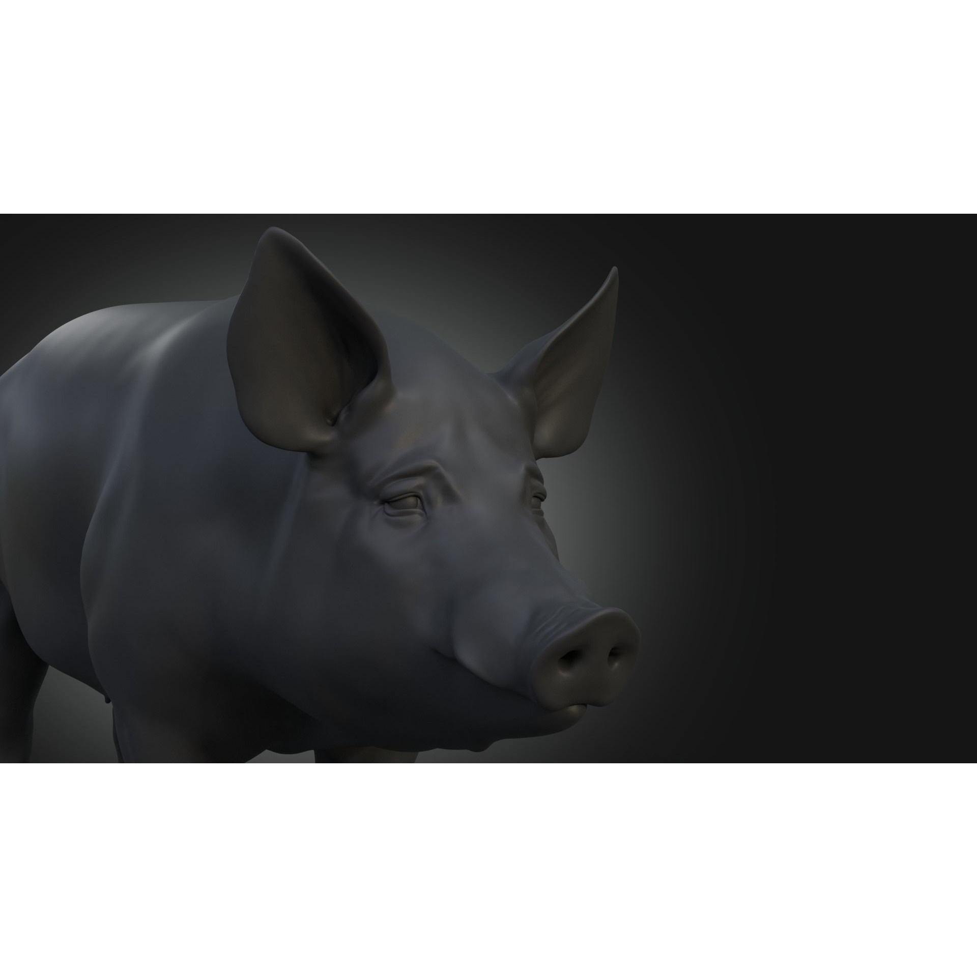 DomesticPig Male Free 3D model 4