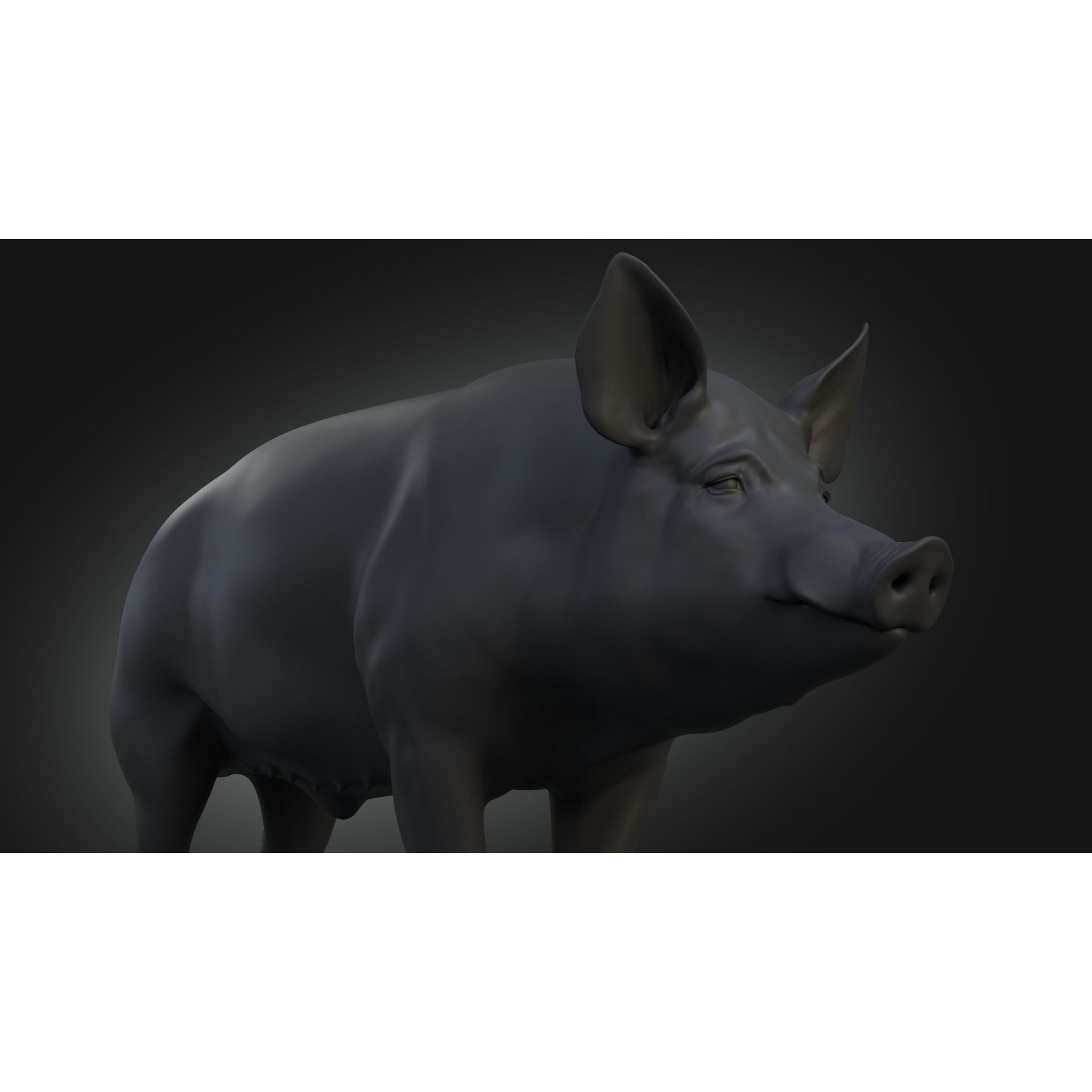 DomesticPig Male Free 3D model 5