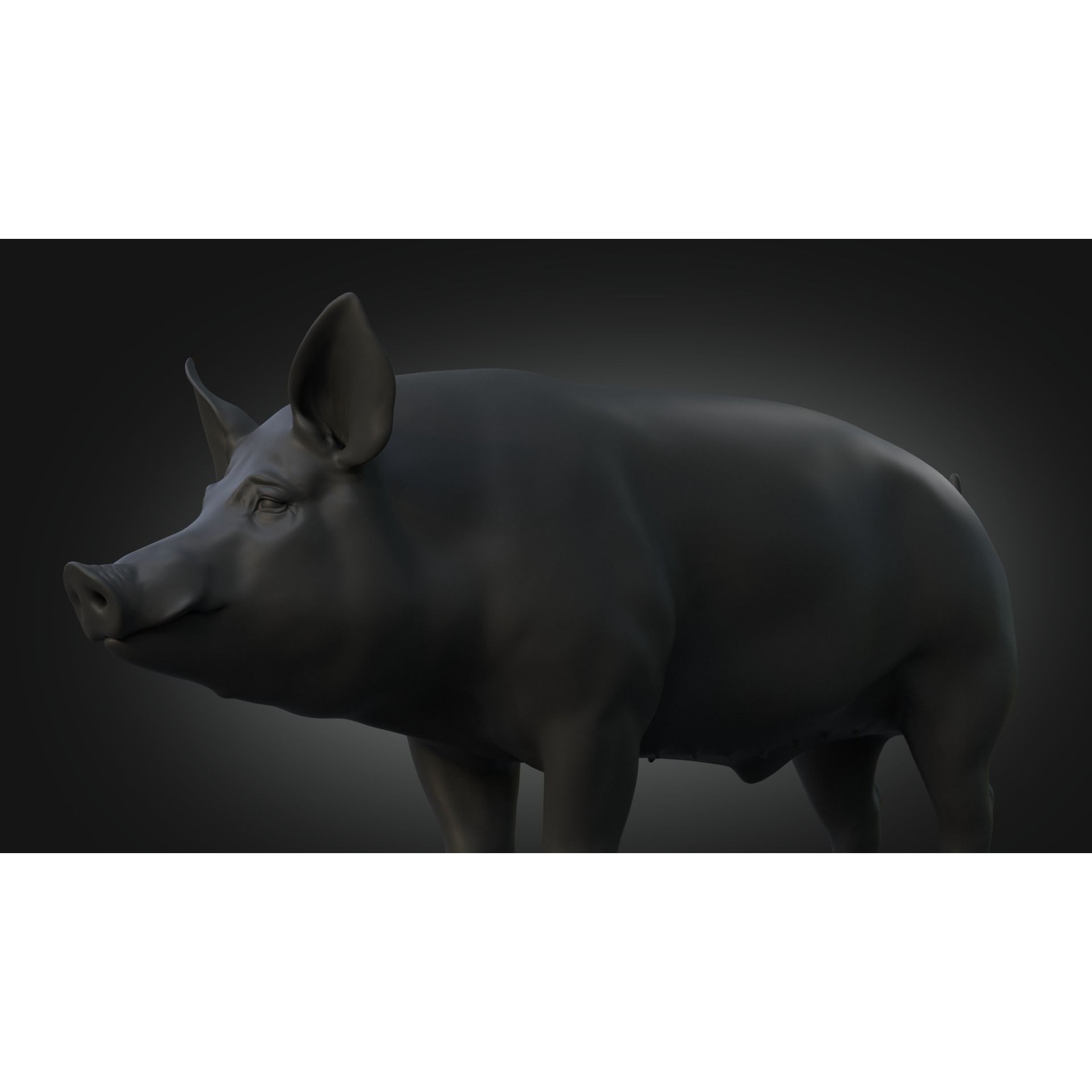 DomesticPig Male Free 3D model 6