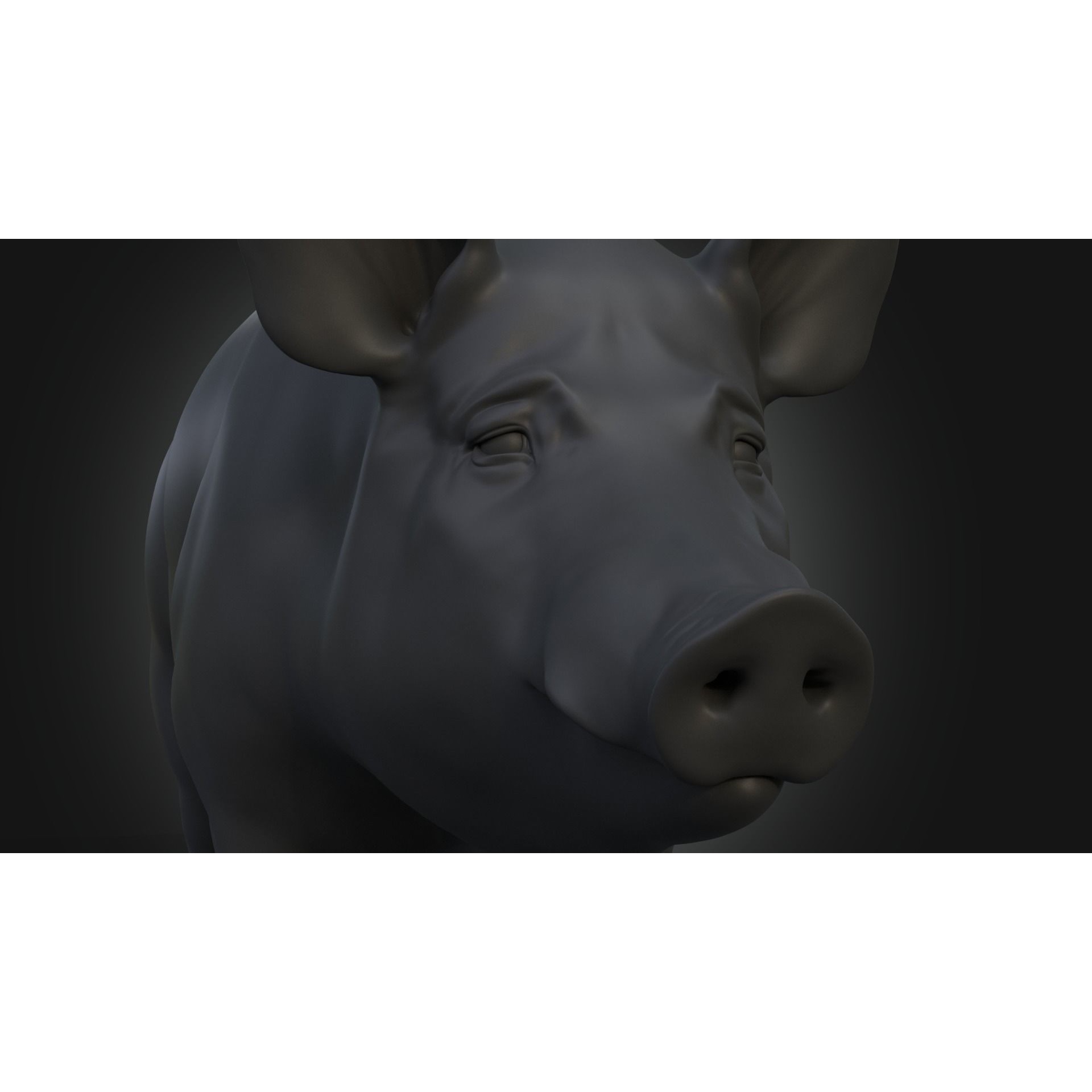 DomesticPig Male Free 3D model 7
