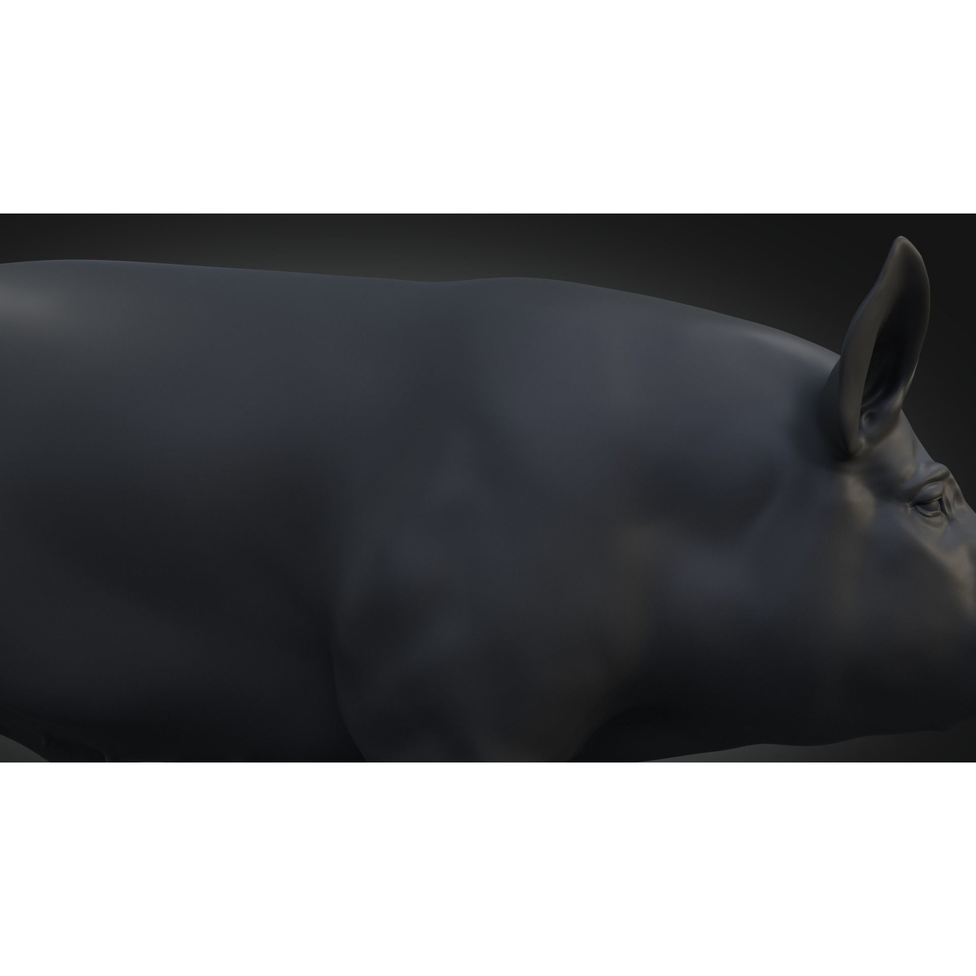 DomesticPig Male Free 3D model 8
