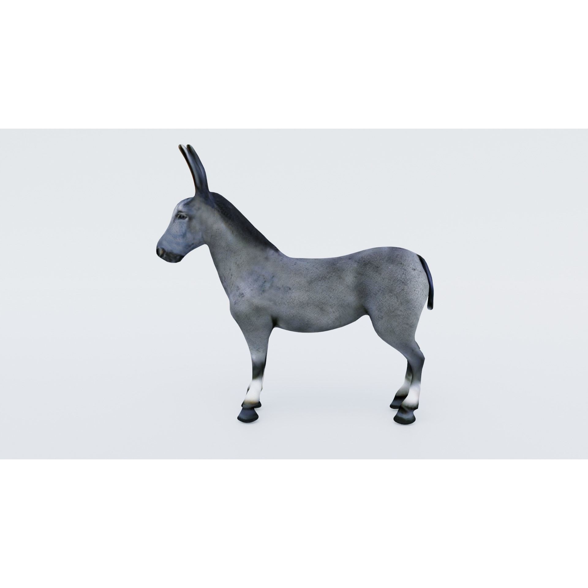 Donkey Free 3D model 2